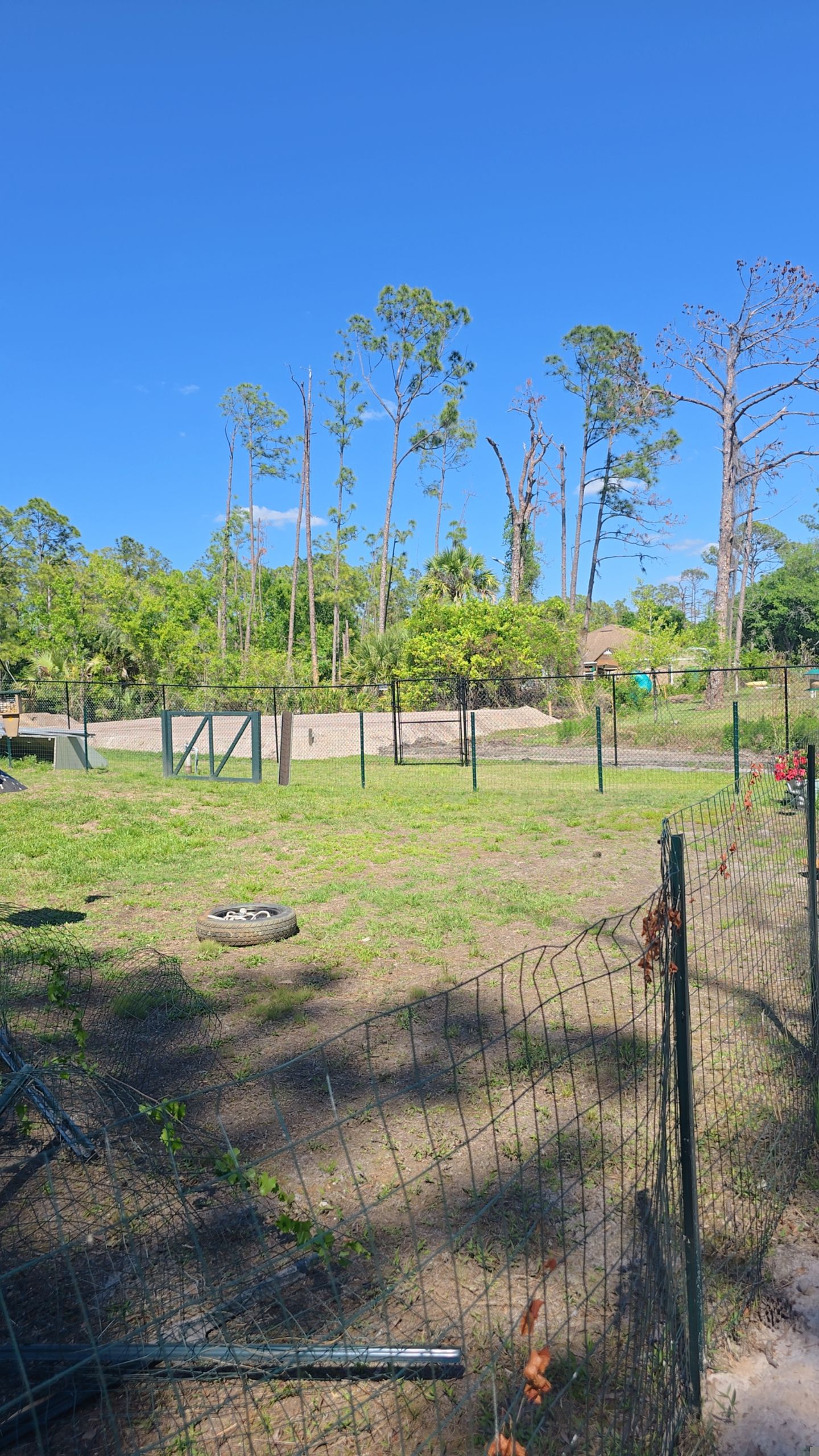Chain Link Fence in North Port by True Fence LLC