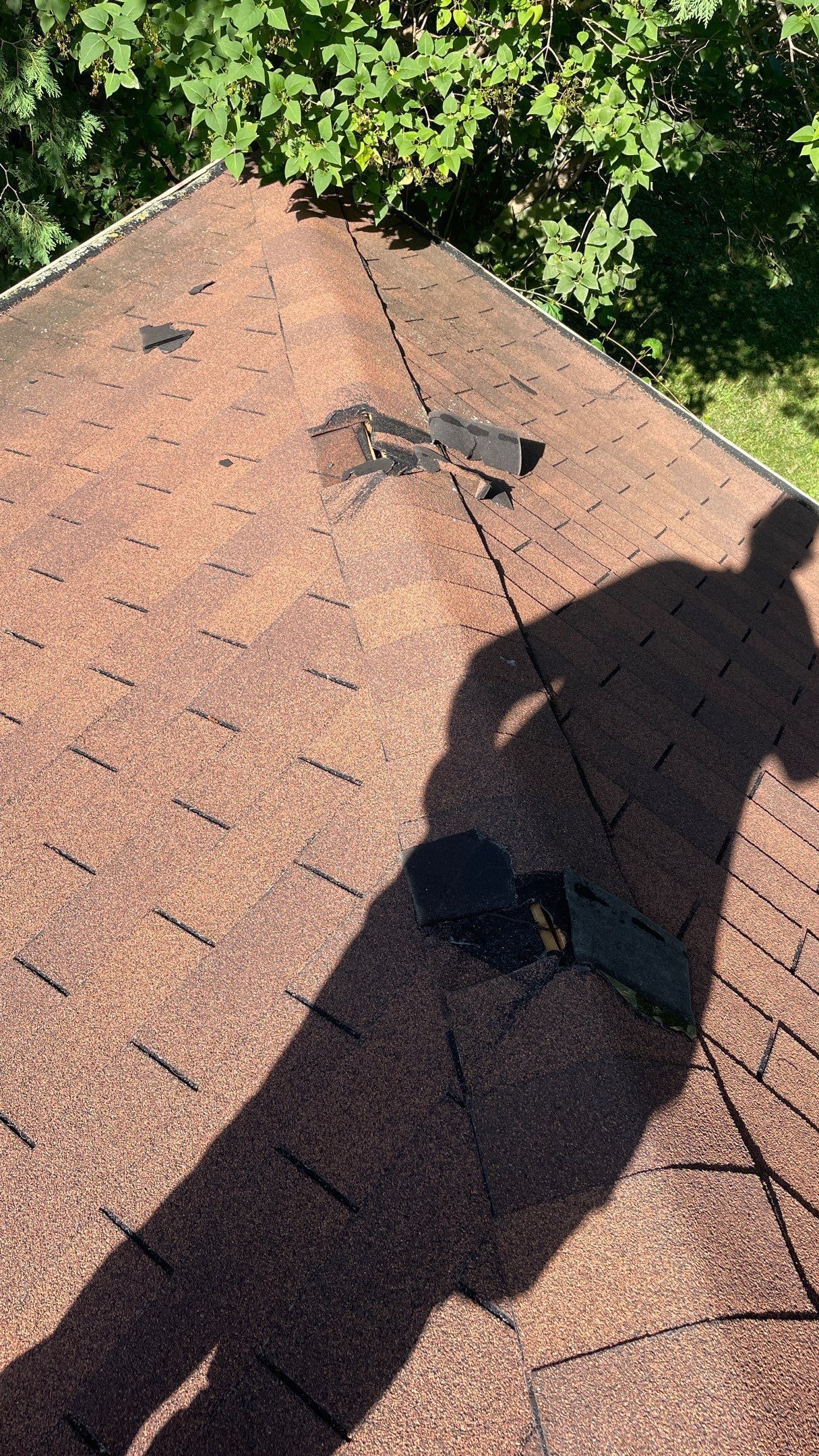 Roof Replacement using Owens Corning Summer Harvest by 180 Contractors