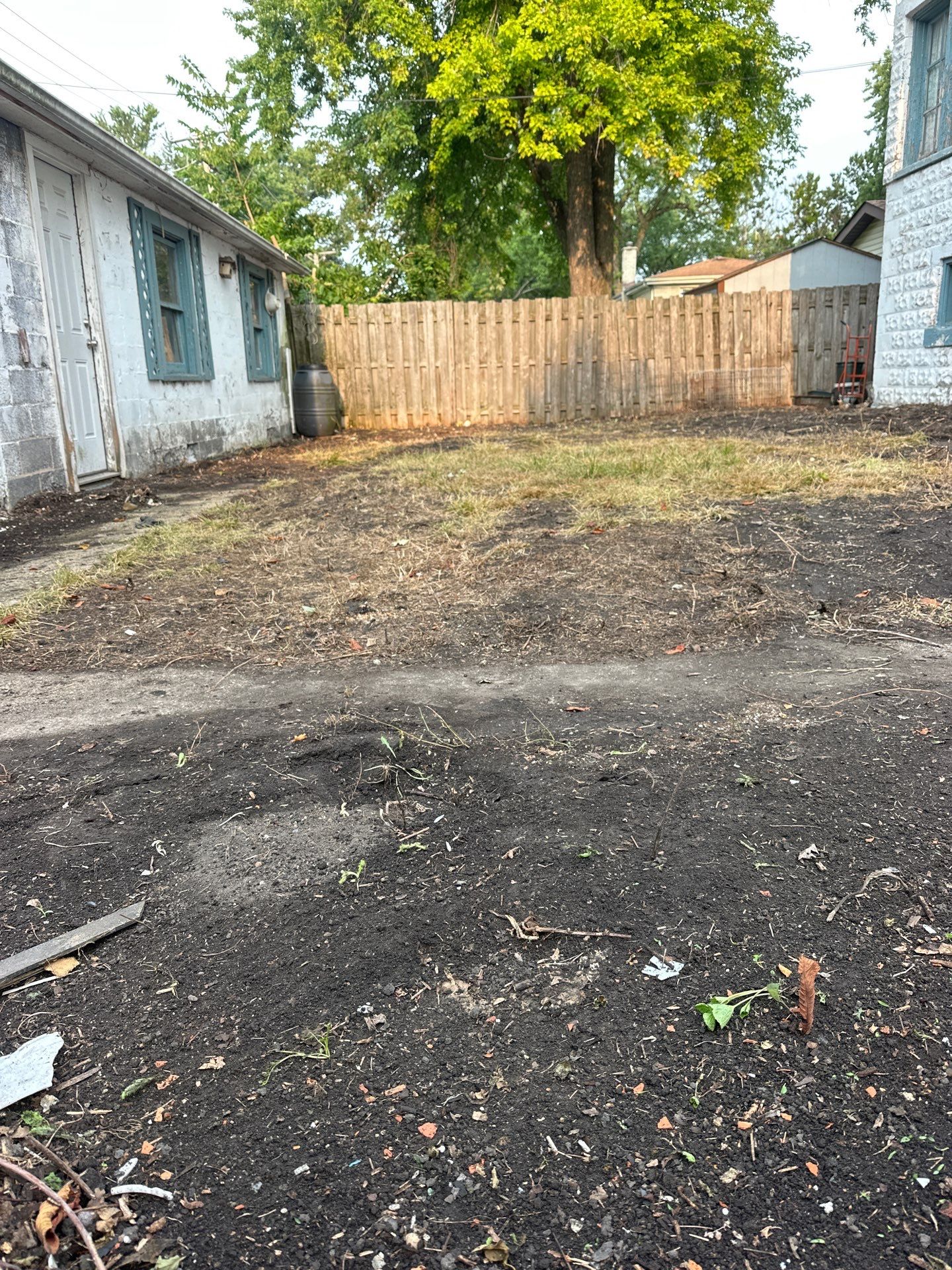 Michal Ann L. - Des Plaines, IL by A&N