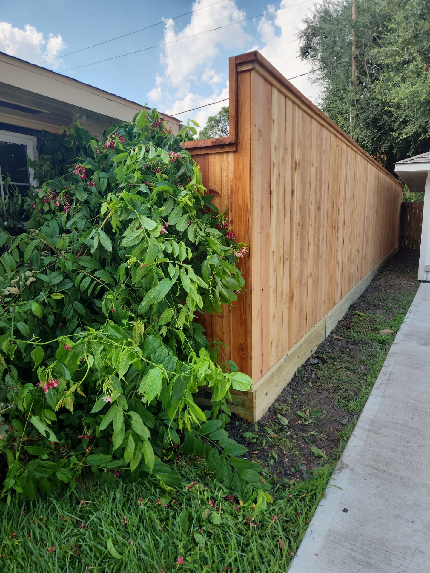 8ft Tall wood fence installation by Tim's Fences