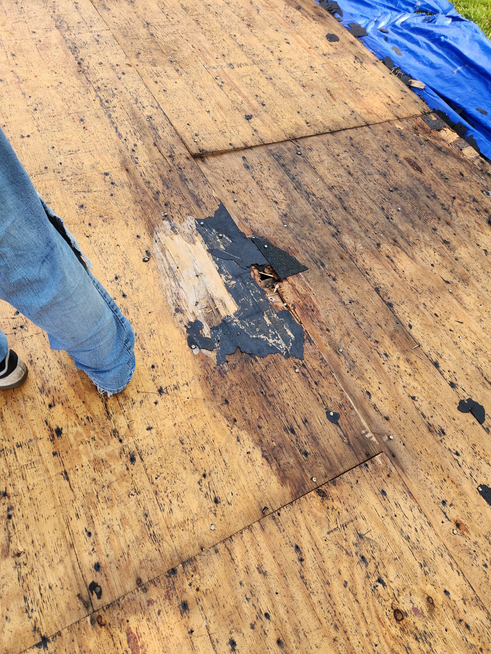 Project by Elvis General Construction LLC by Elvis General Construction LLC