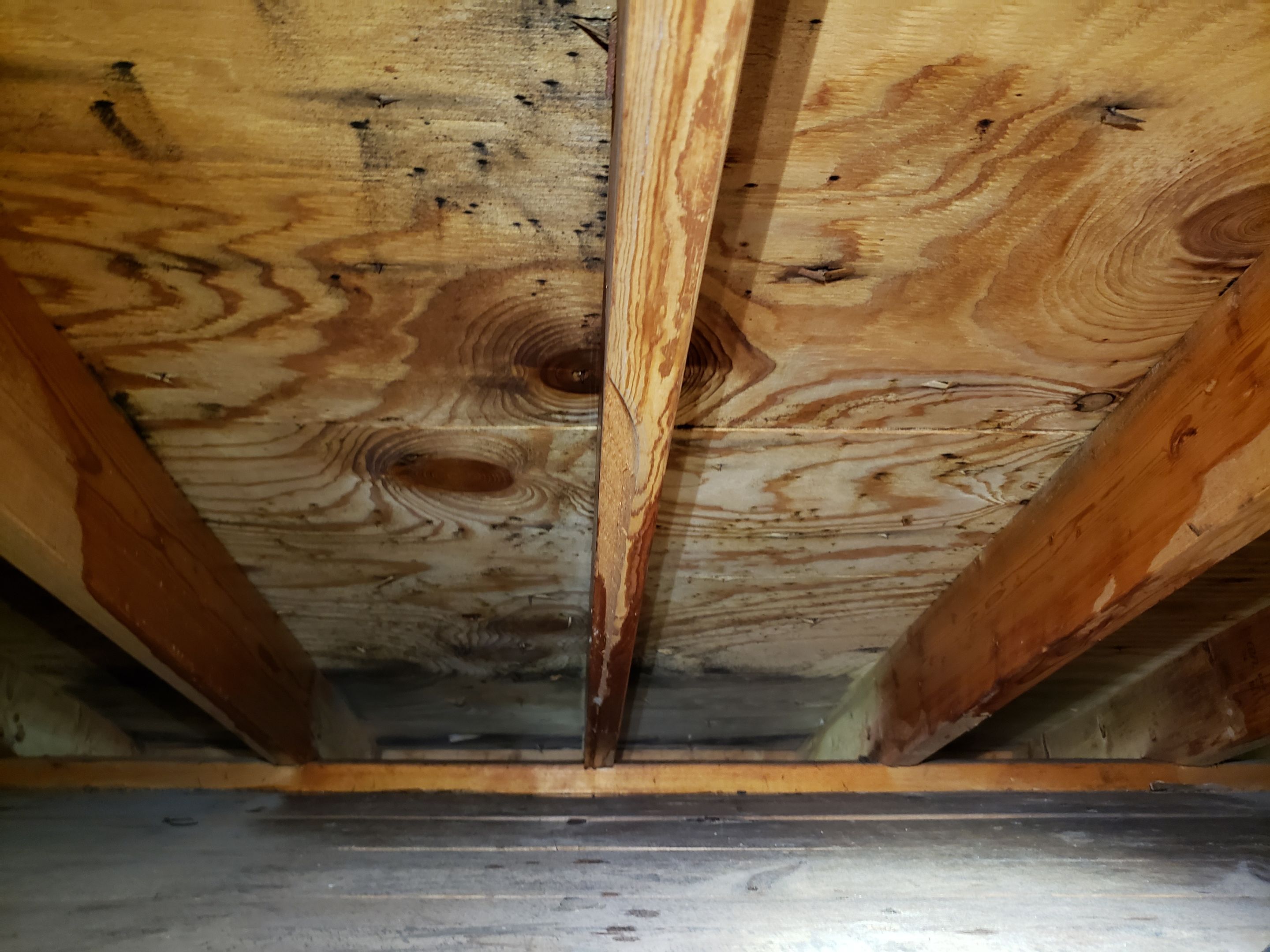 Attic Mold Remediation by Chicagoland Water Medics