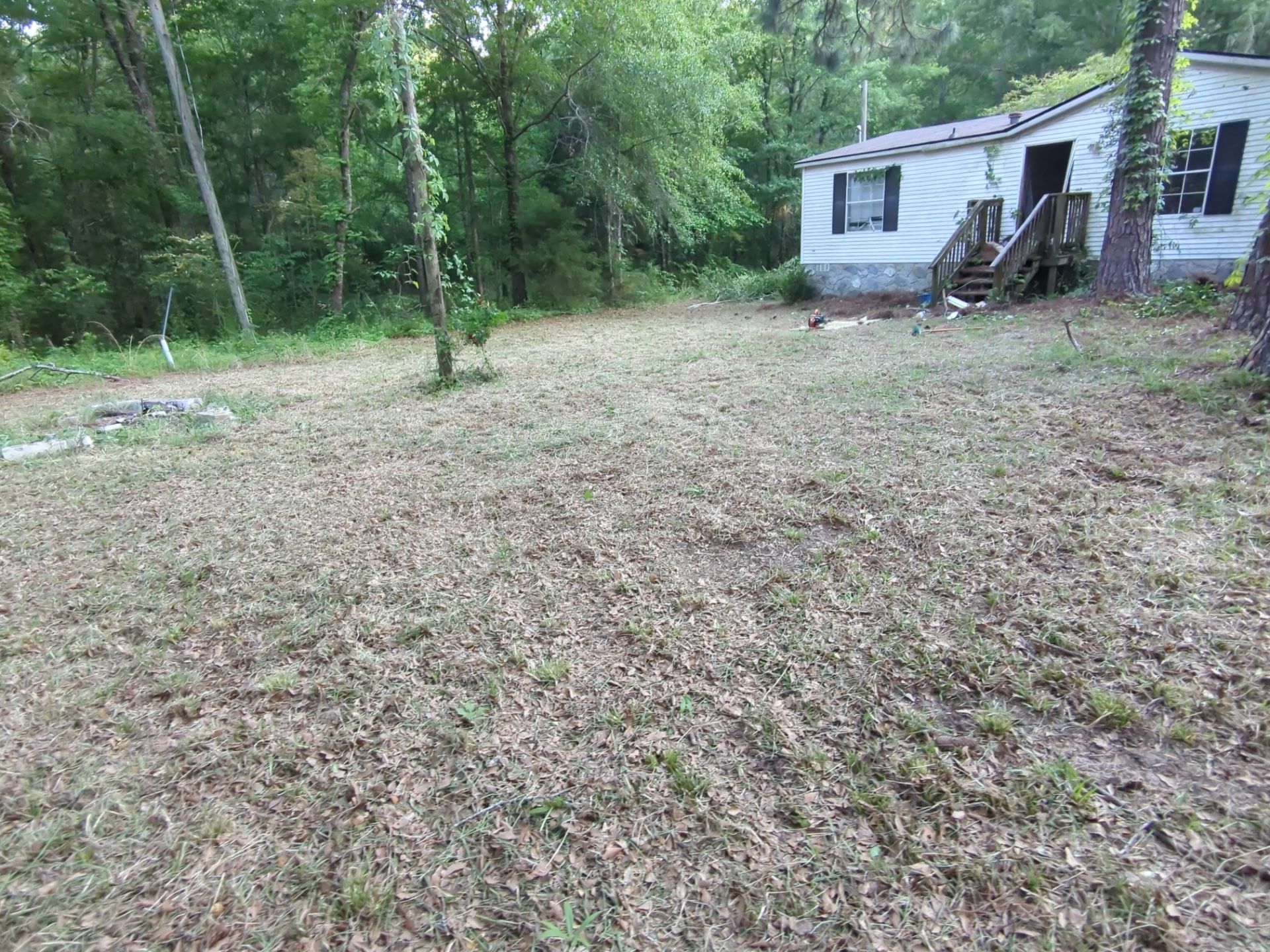 Exterior Clearing - tree trimming - grass cut by Swift Signings and Services LLC