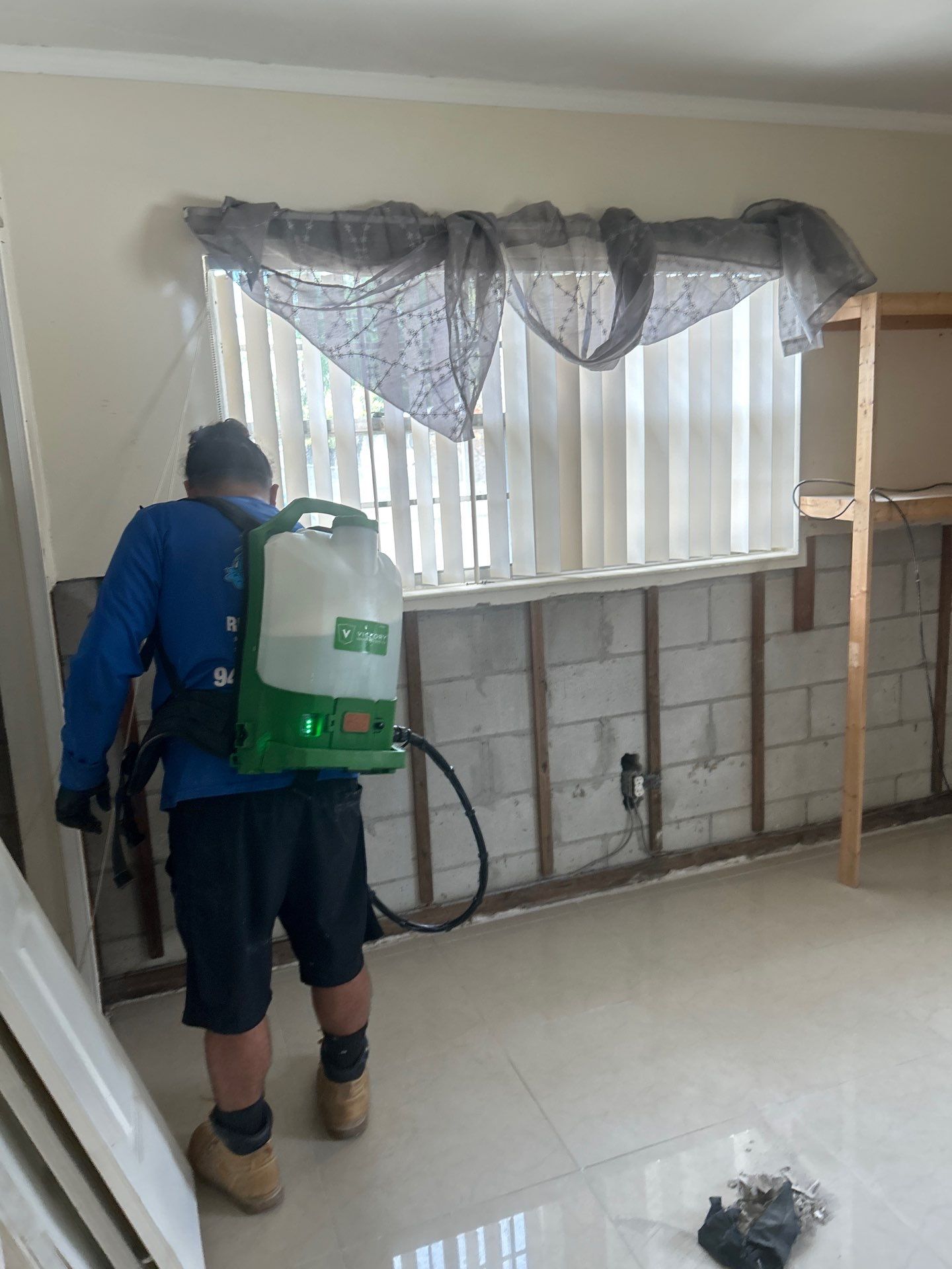 Tampa Mold Removal by Ampm Restoration Services