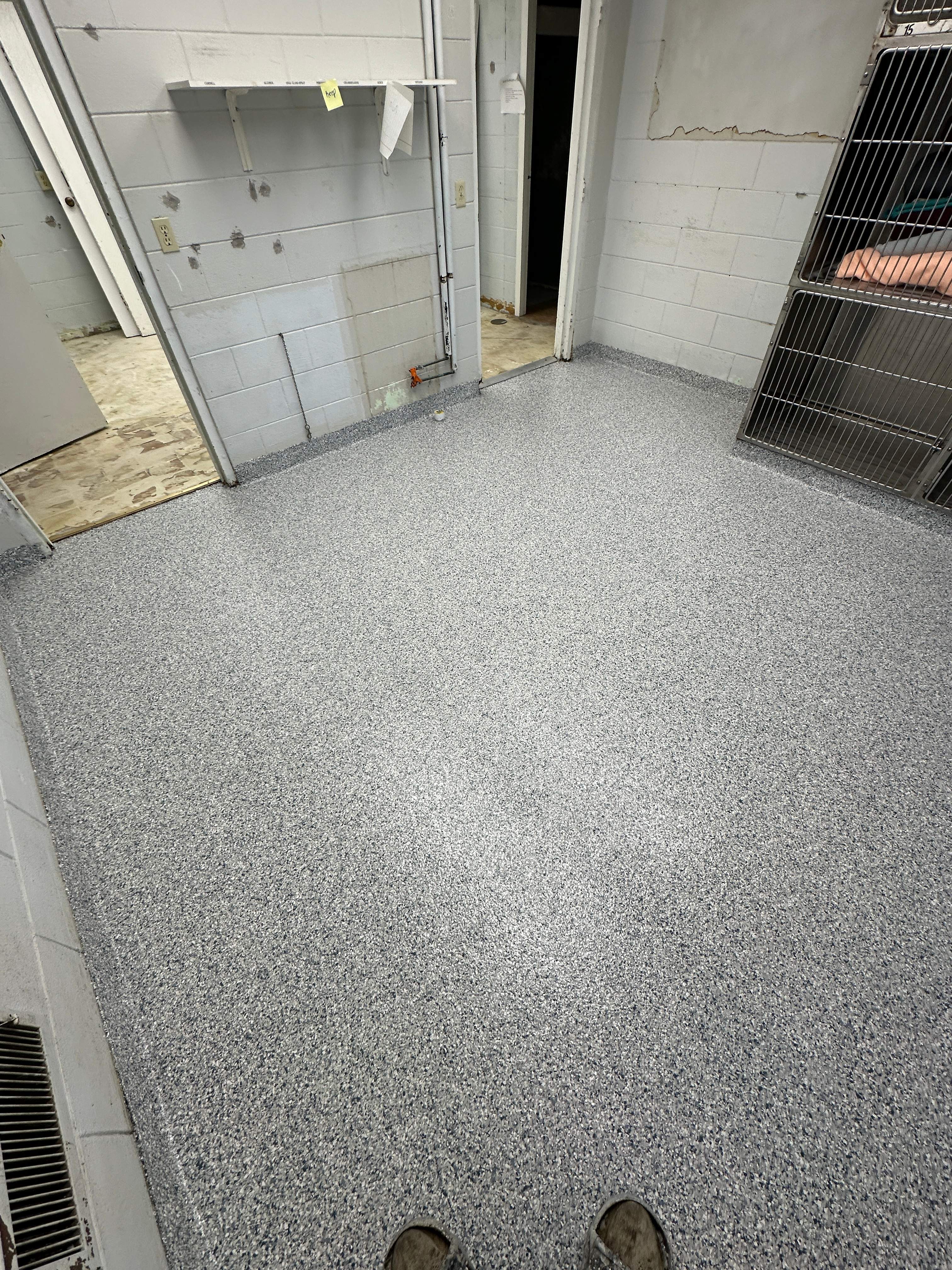 Steamboat Canine Shelter Normal by Loud Bros