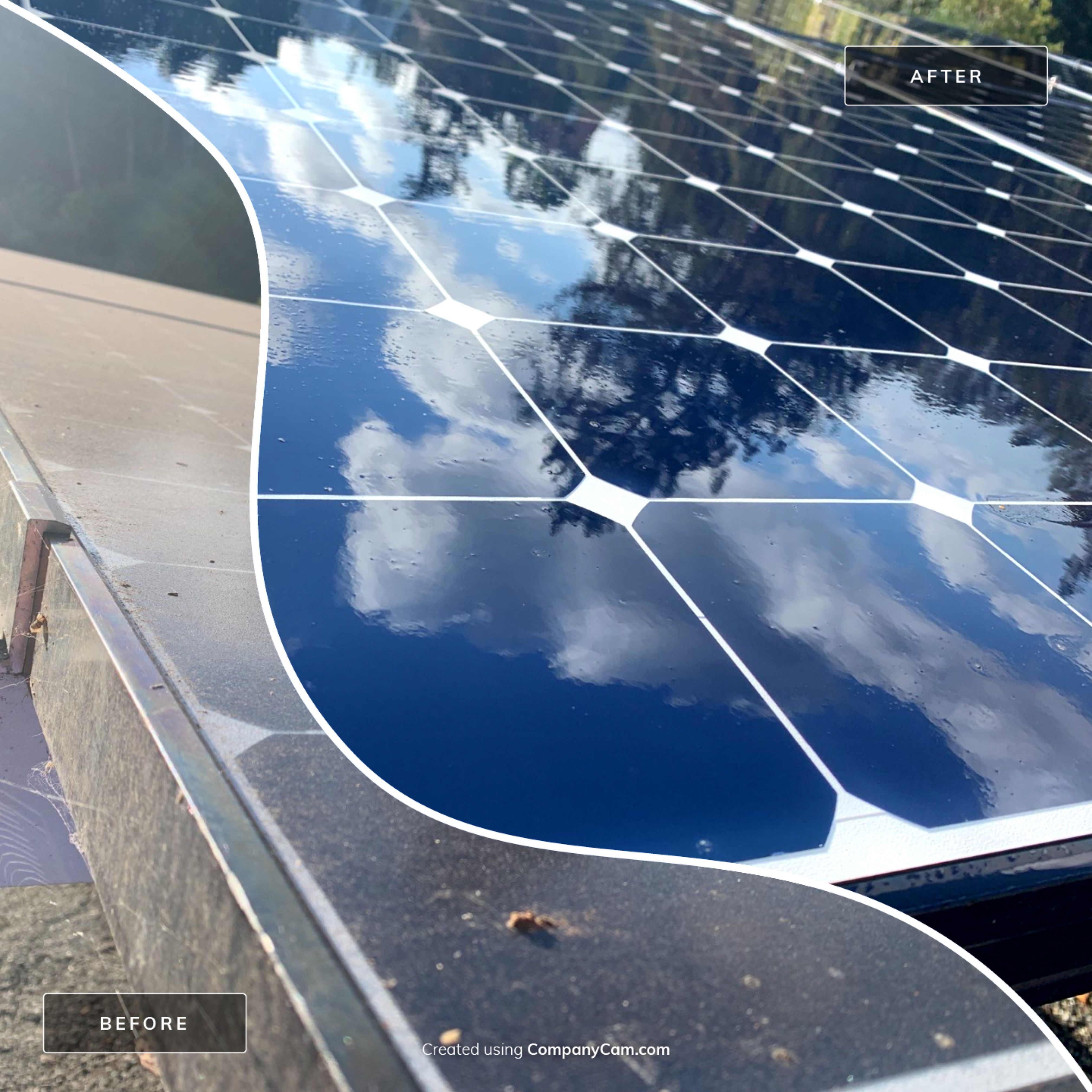 Elise Hurwitz’ Window Clean by SpotFree Window Cleaning