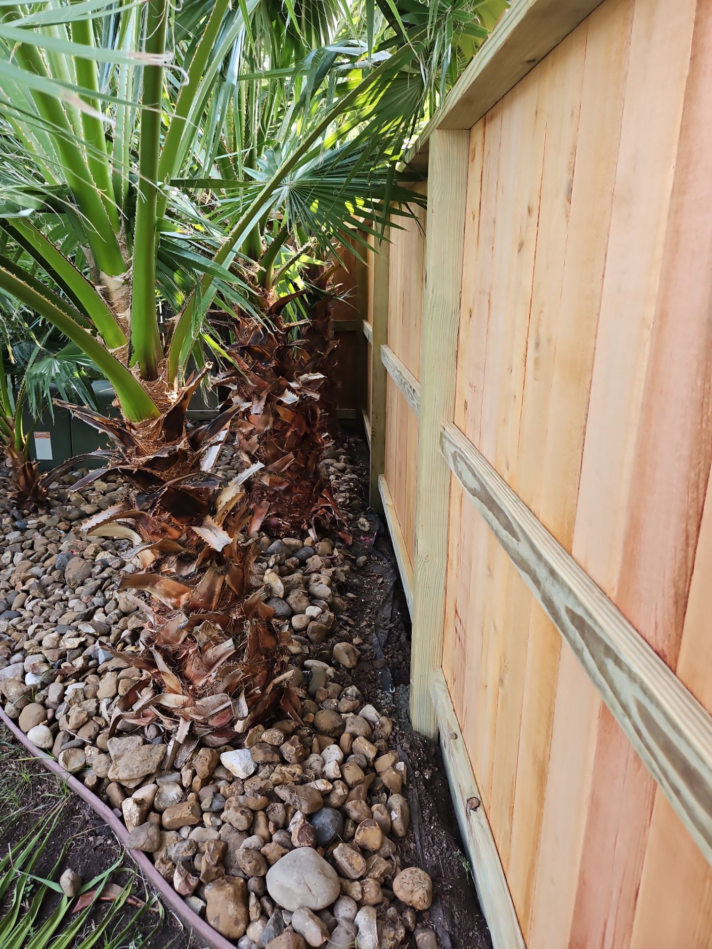 Poolside Perfection by Tim's Fences