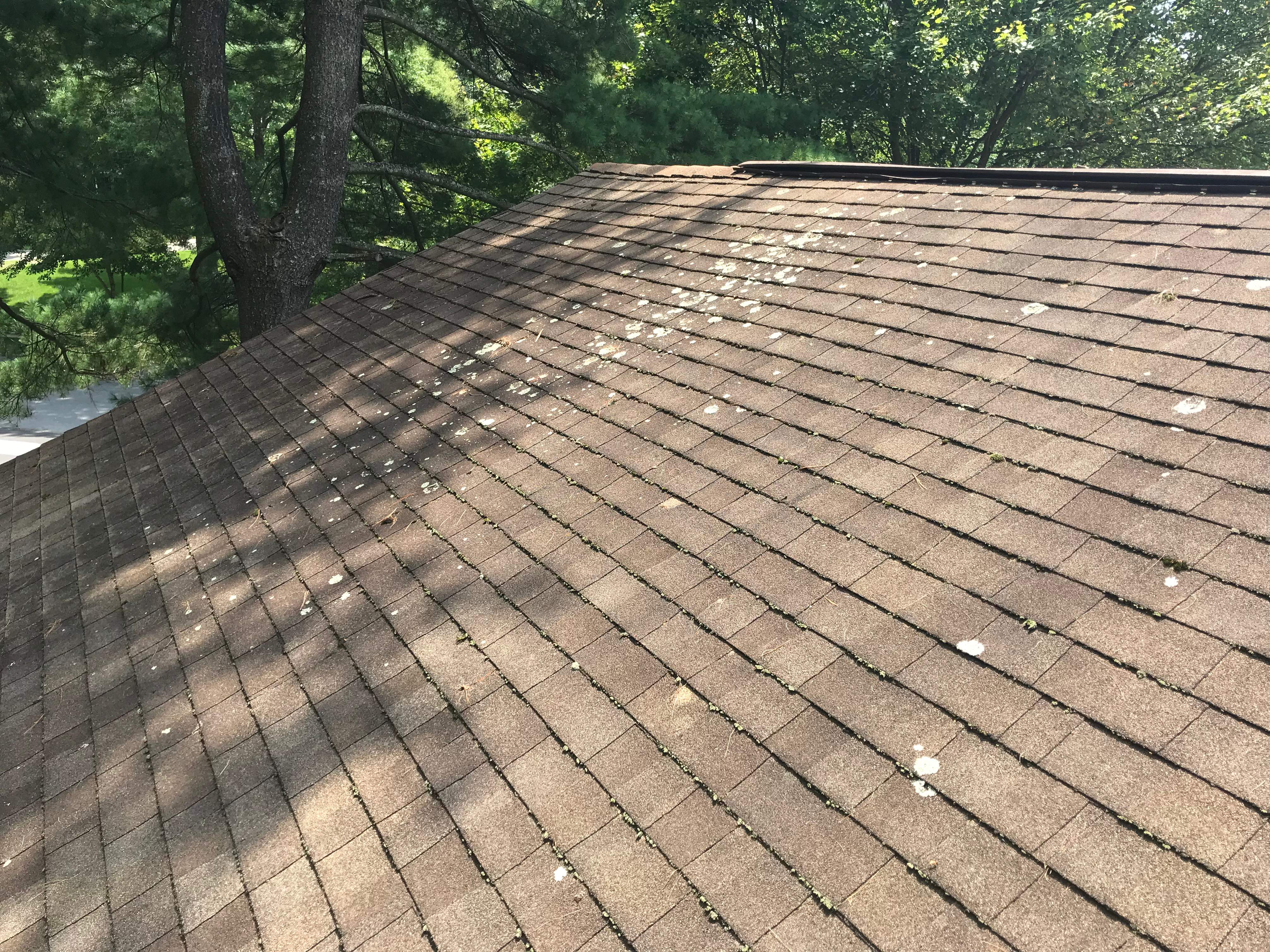 Residential Roofing Installation using Landmark Shingles Color Weatherwood by Alpha Design Services