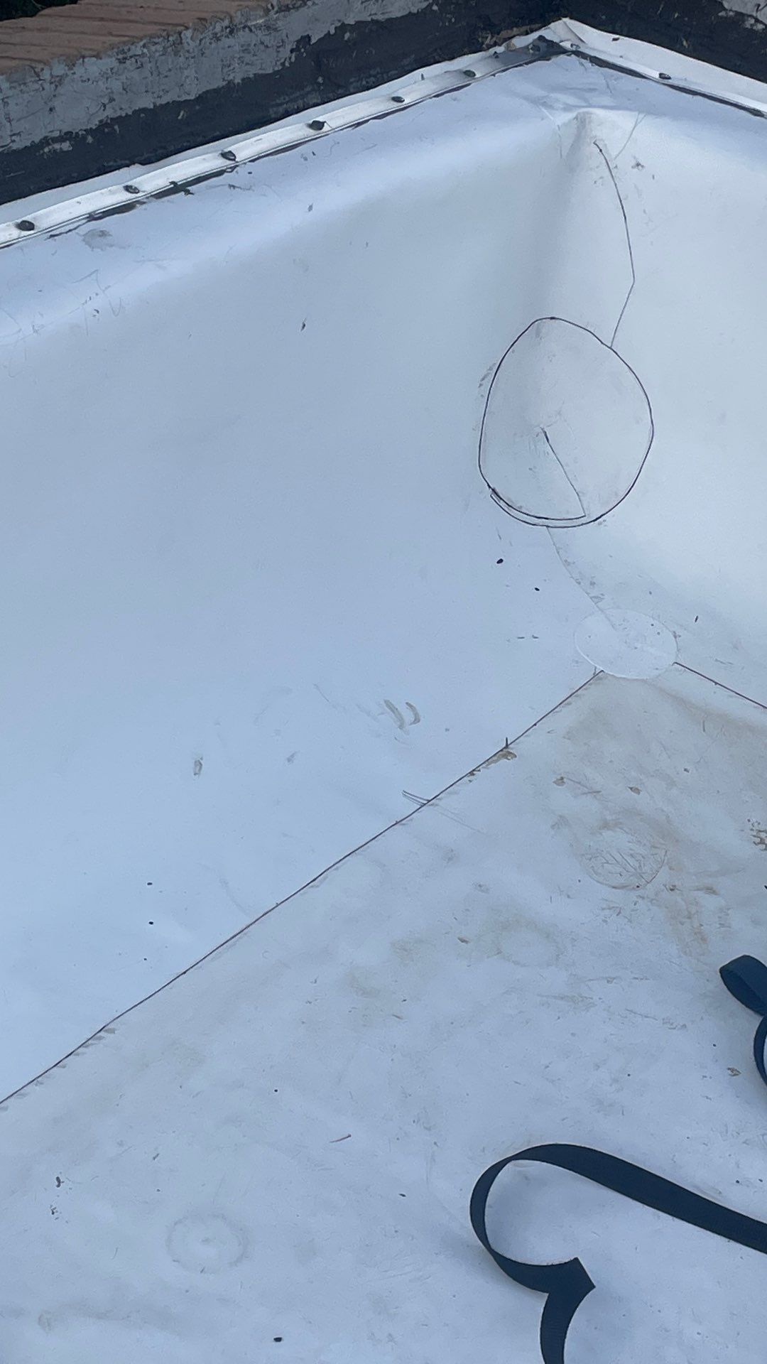 Problems in Paradise  by Bayfront Roofing and Construction