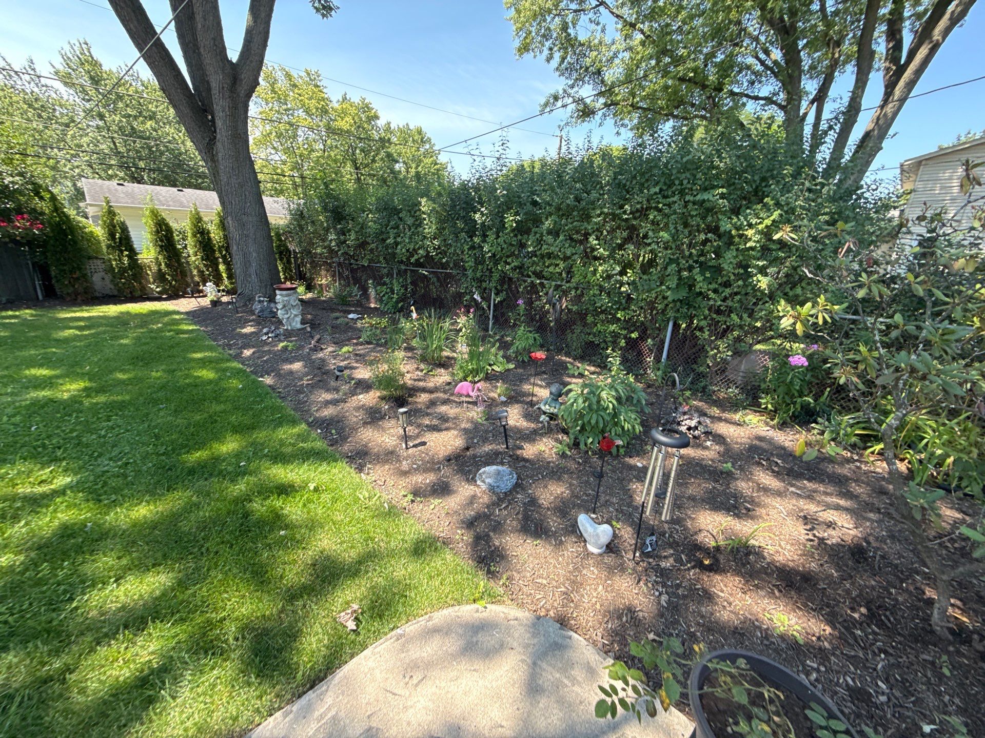 Gina K. - Mount Prospect, IL by A&N 
