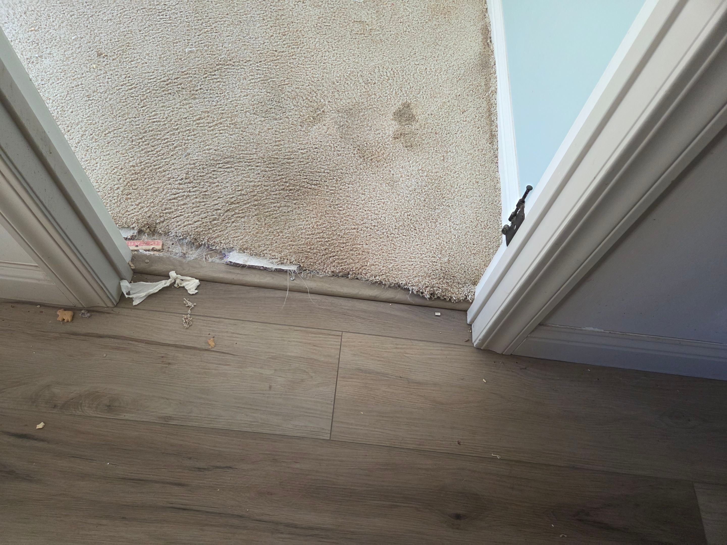 Carpet Repair in Shingle Springs by Ardent Carpet Restore LLC
