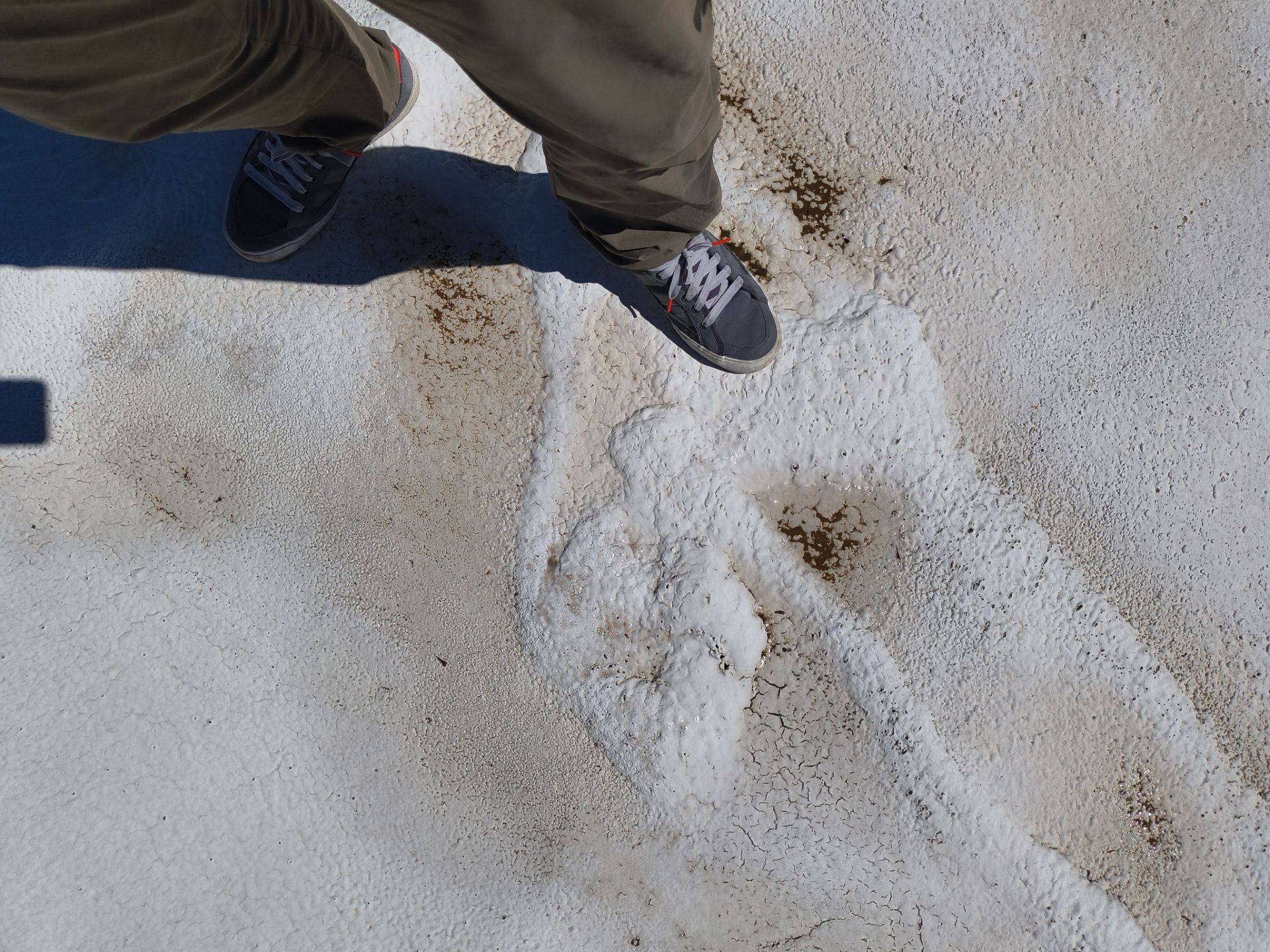 Mesa Apartment Flat Roof Coating and Interior Restoration Services by APM Builders LLC