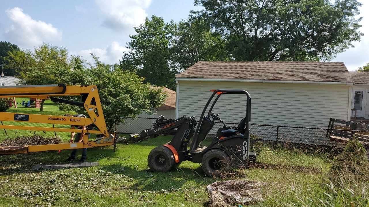 Tree Removal by Mike Jones & Sons Tree Service LLC 