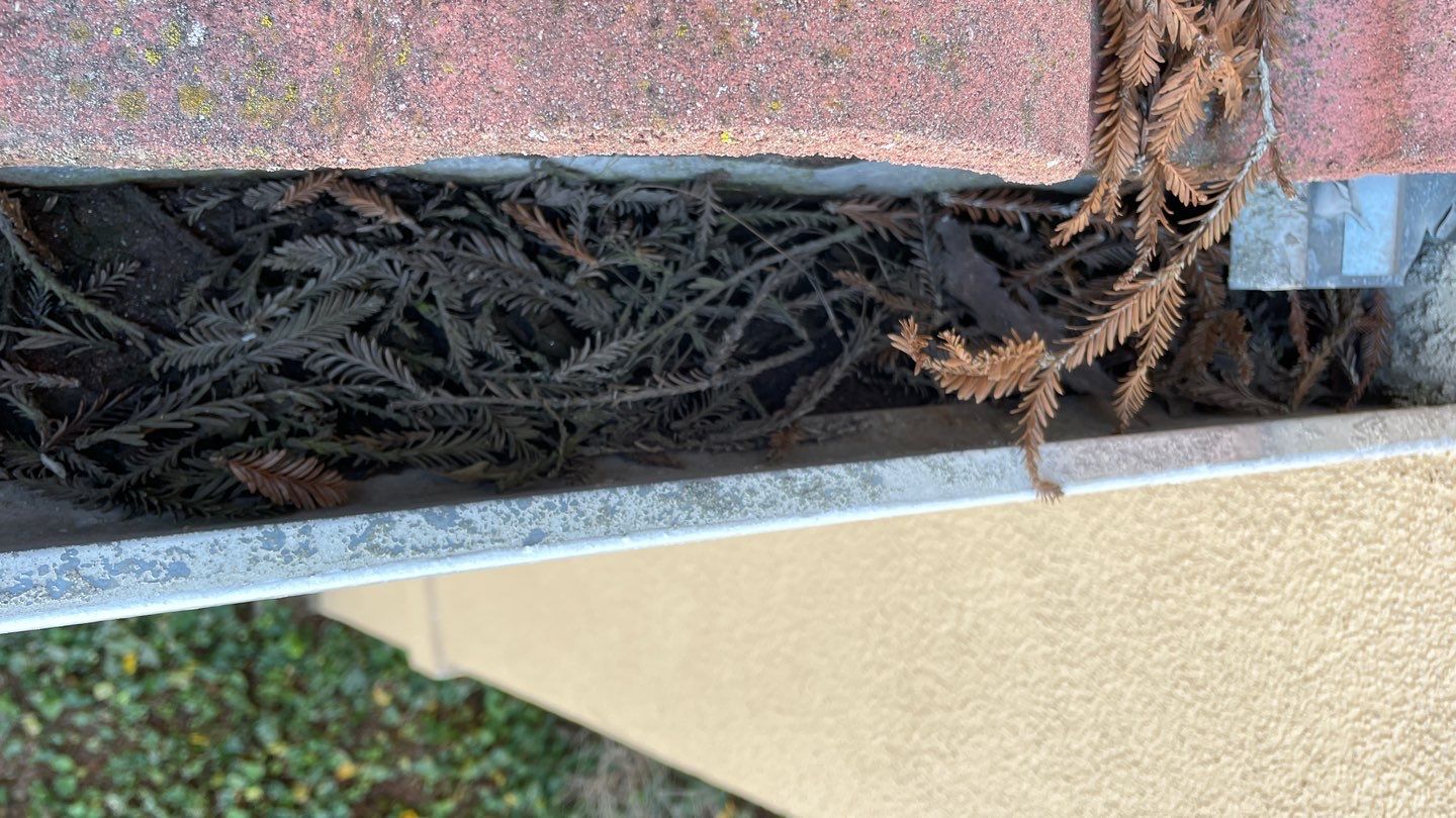 12-Unit HOA Gutter Cleaning in San Jose by All One Solar Shine