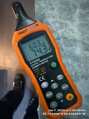 mold test
