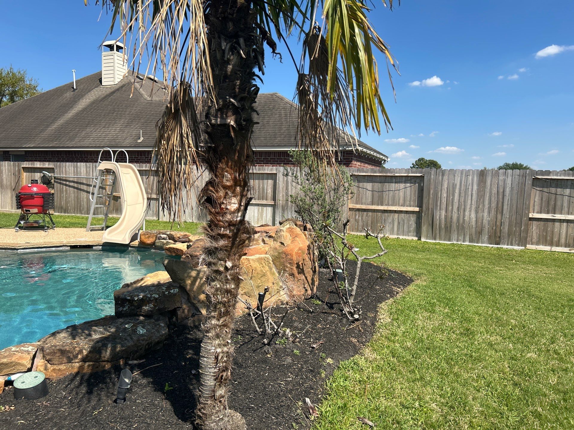 🌿 Larry Caudillo’s Poolside Landscape Revamp by Texas Urban Elements