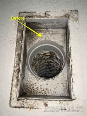 Air Duct and Bathroom Exhaust Fans Cleaning Boot Repair in Windermere