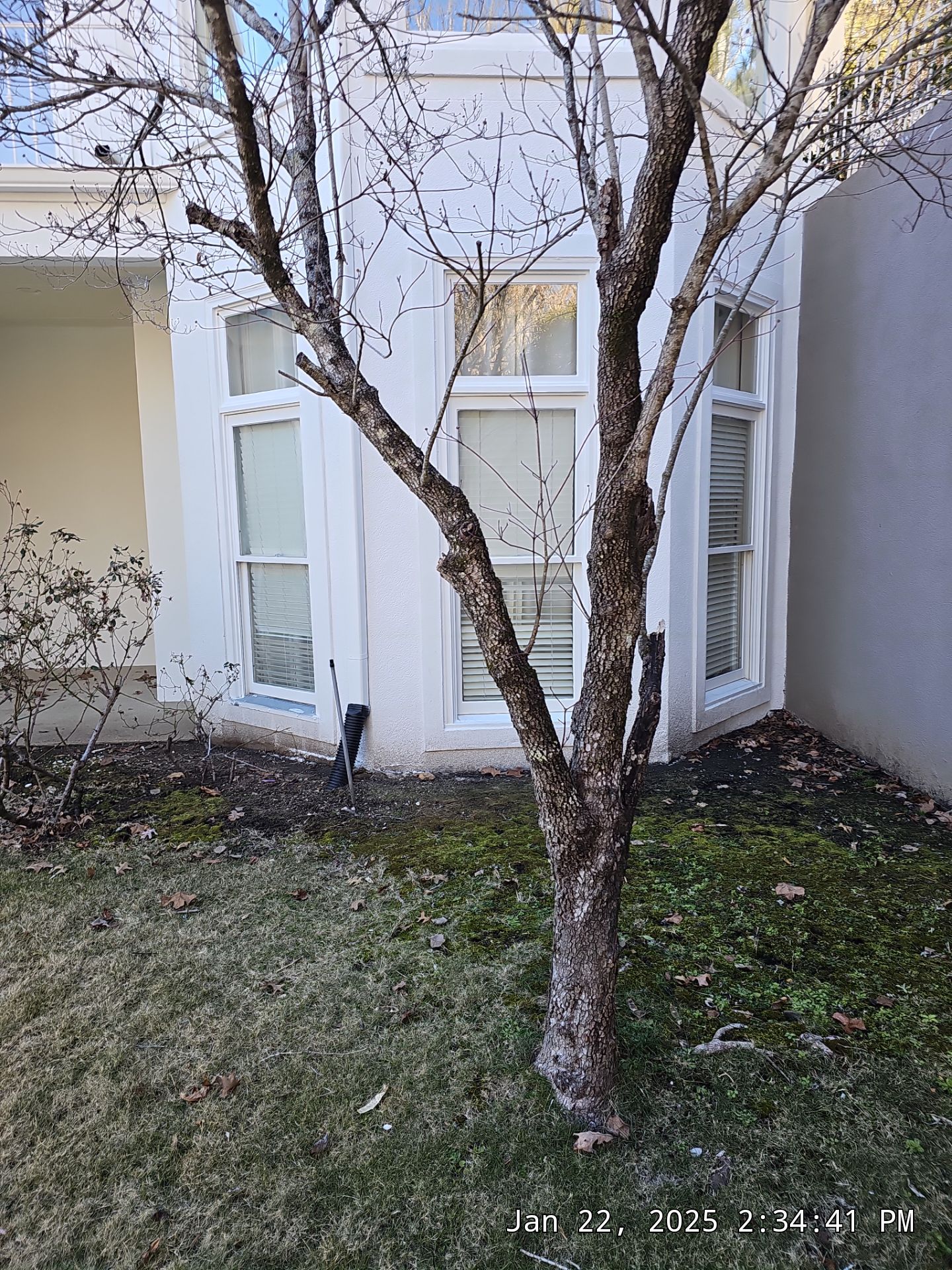 Elliott Project in Birmingham by The Window Source