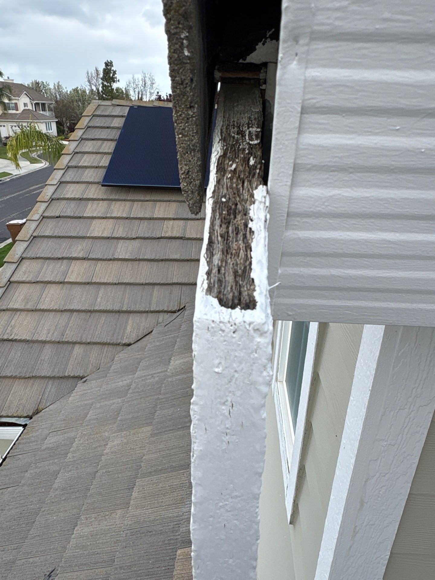 Moss Removal by Top Elevation
