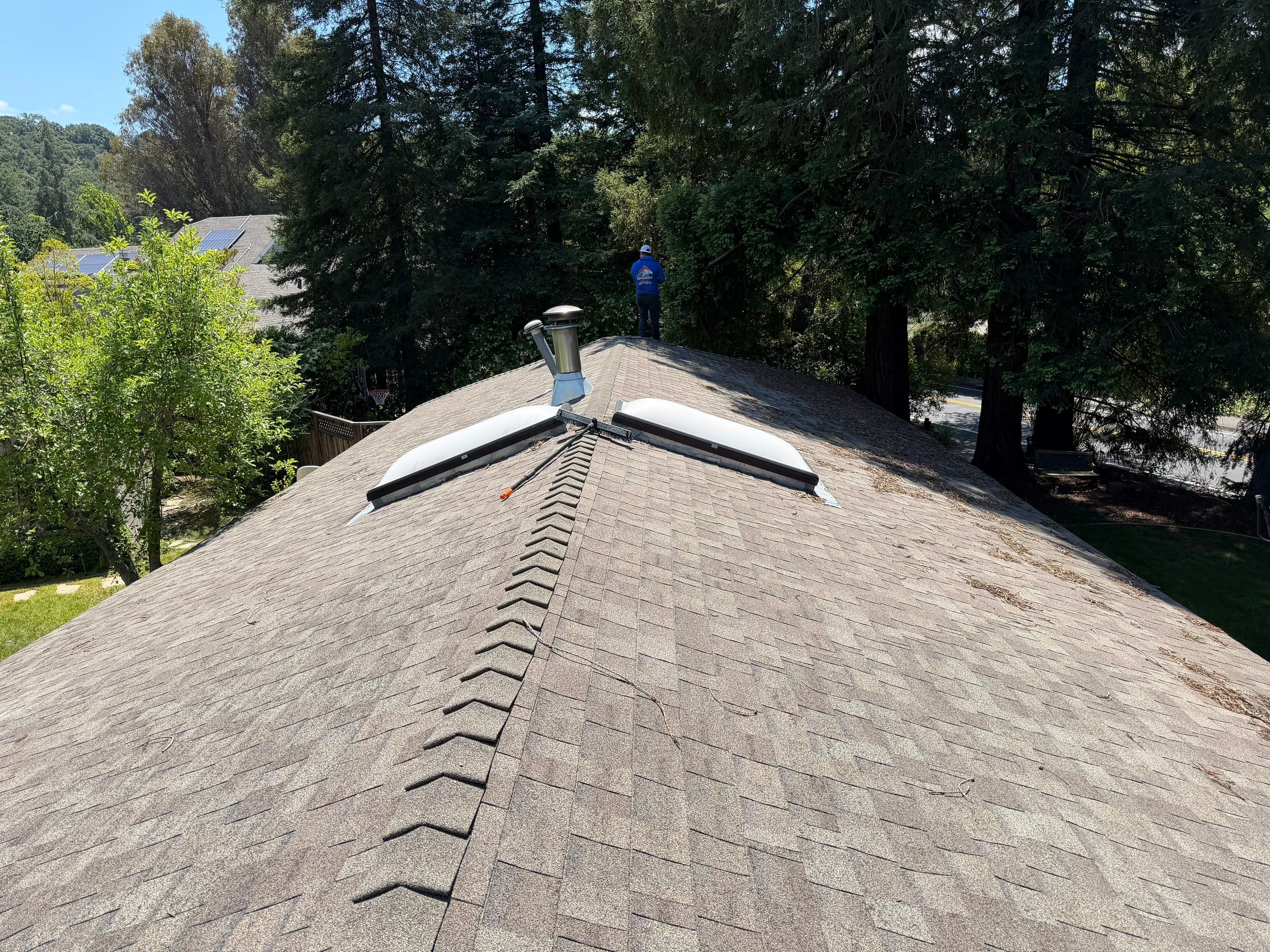 Alpha Eagle Roofing field photo 1