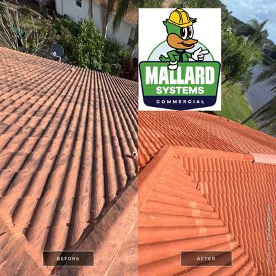 Barrel Tile Roof Cleaning