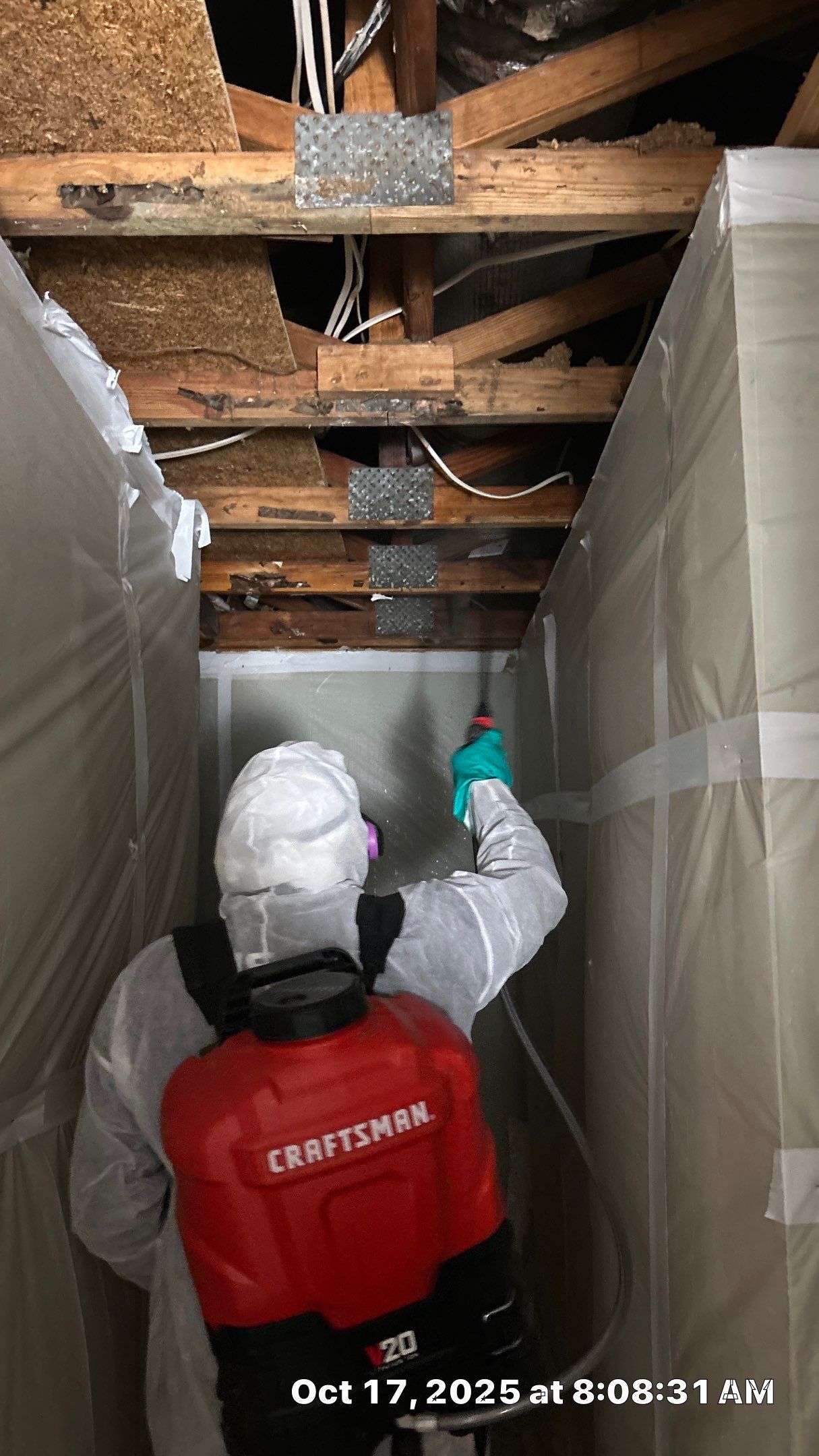 Friable asbestos ceiling abatement with air monitoring by EAS Environmental, LLC.