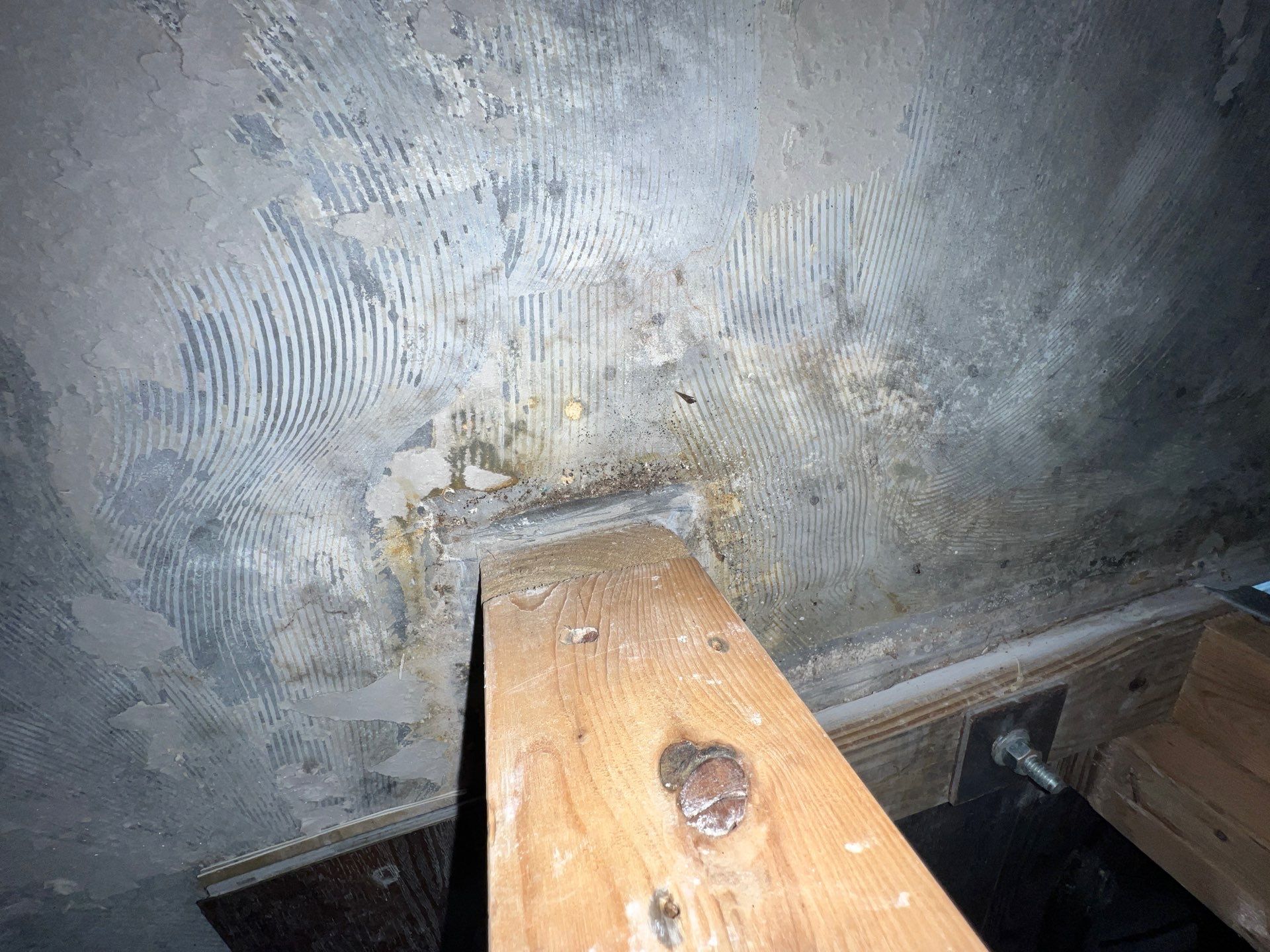 Stansell - water and mold photos  by THE RAPID TEAM