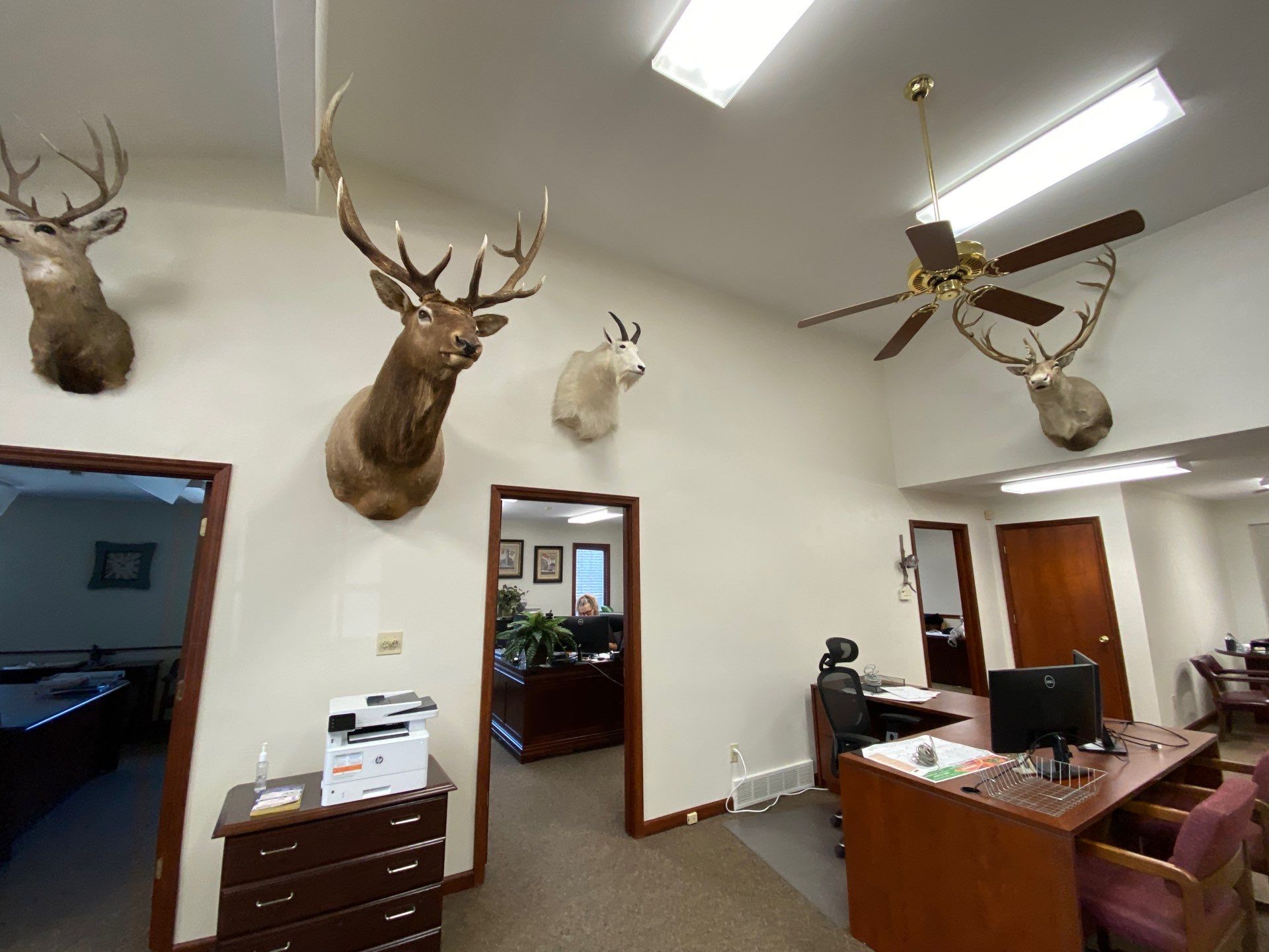 Project in Cape Girardeau by Duncan Painting And Wallcovering