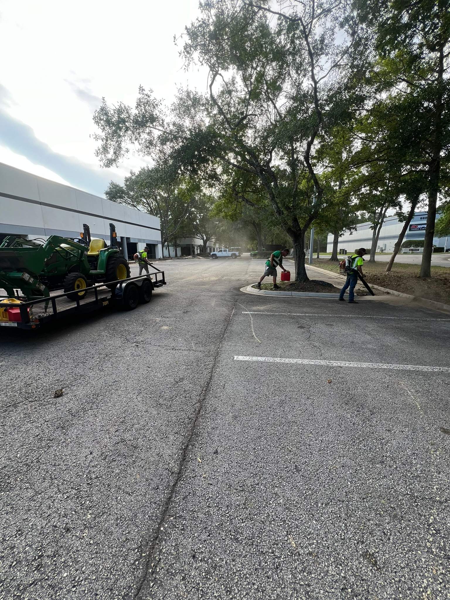 Tree Work | Center Point Business Complex by ProGreen Services