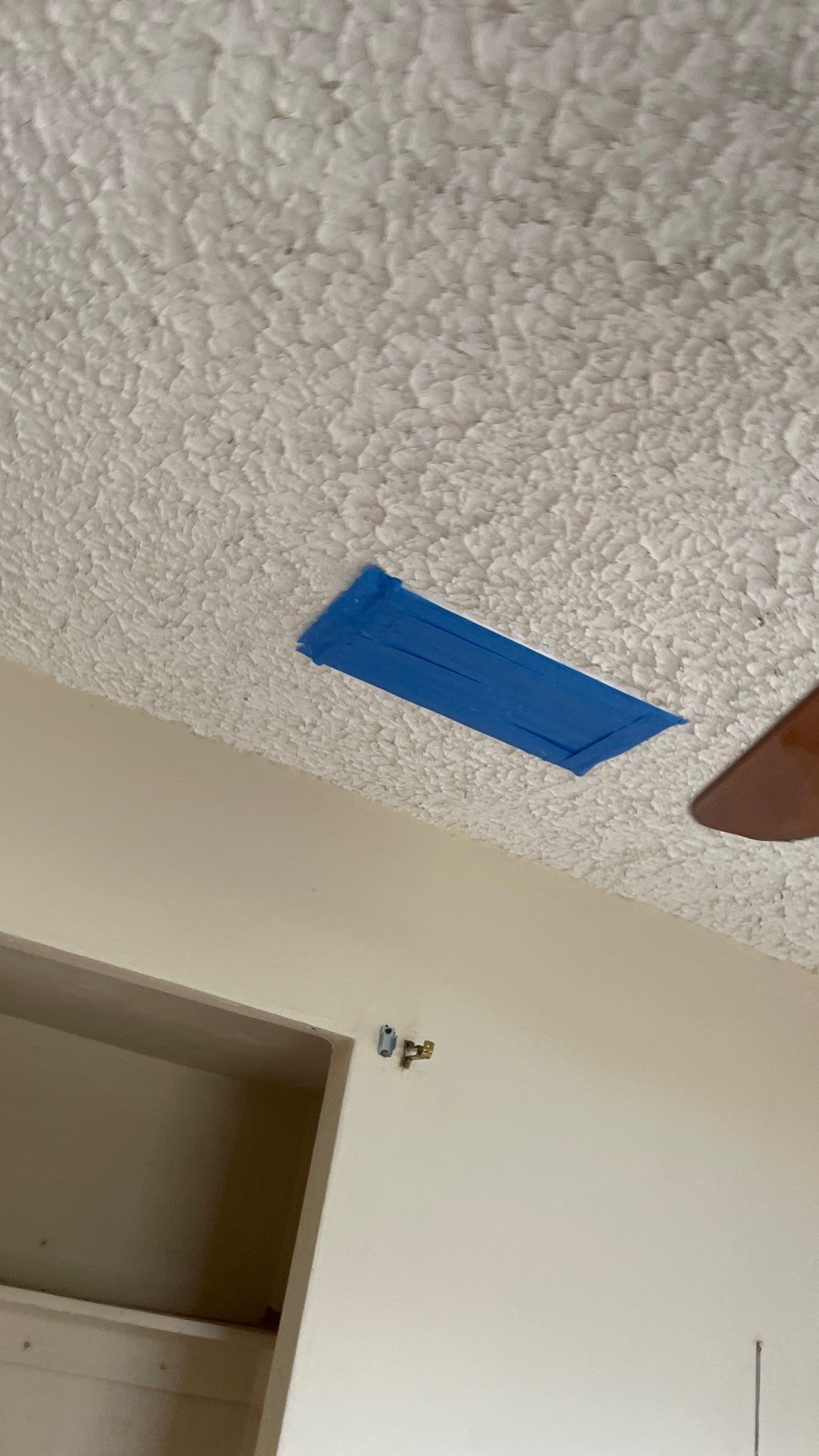 Mold Remediation  by THE RAPID TEAM