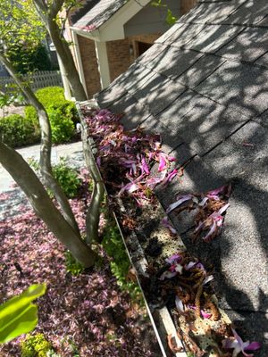 Turtle Shell gutter protection installation in Naperville, IL 60565, photograph 5