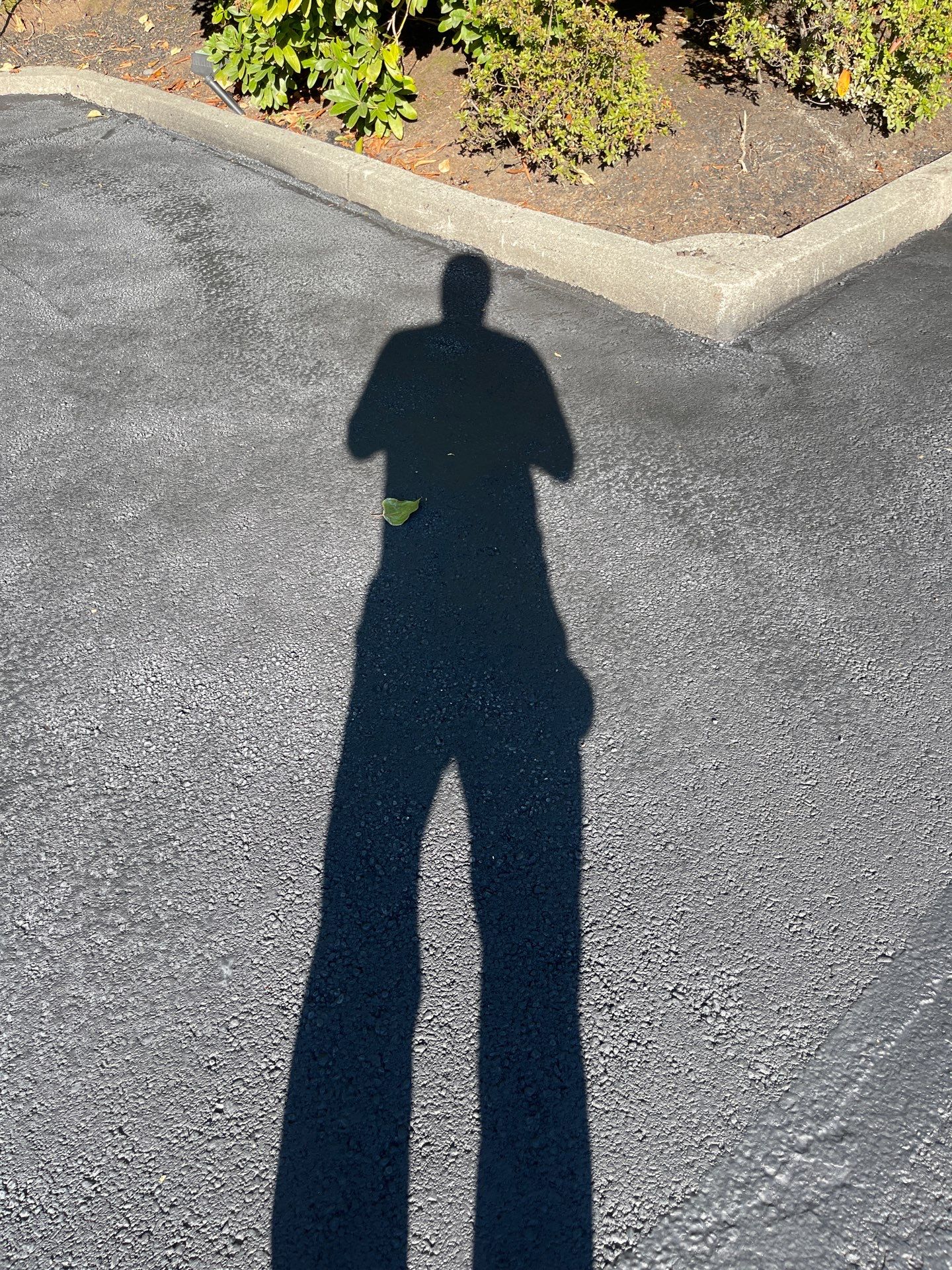 Buchan | Business Parking Lot Repair & Striping by Jireh Asphalt & Concrete Inc 