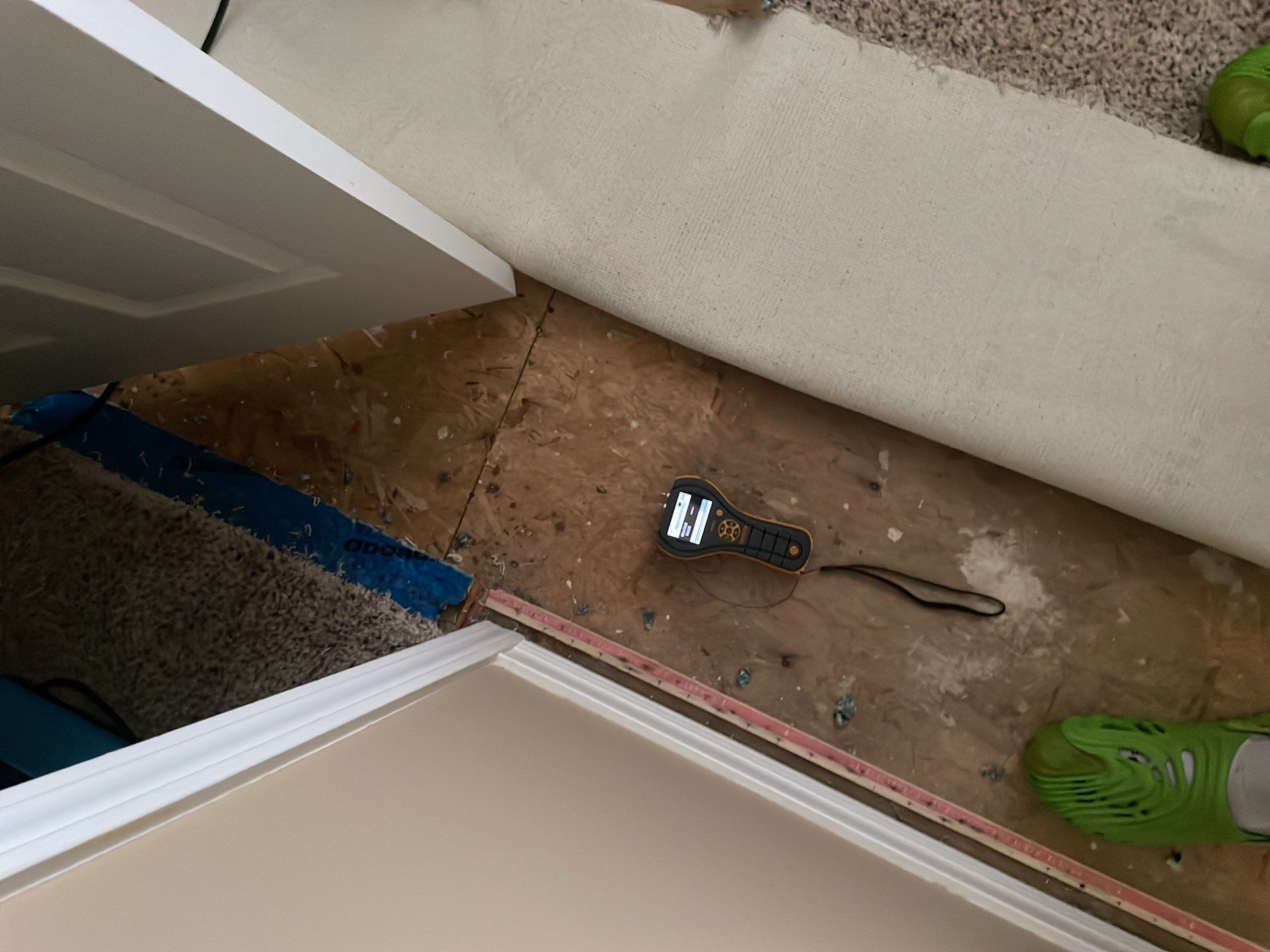 Project in Novi by EzDry Water Mitigation & Property Restoration