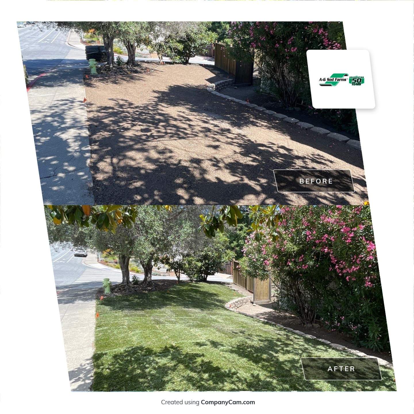 Project in Redwood City by A - G Sod Farms