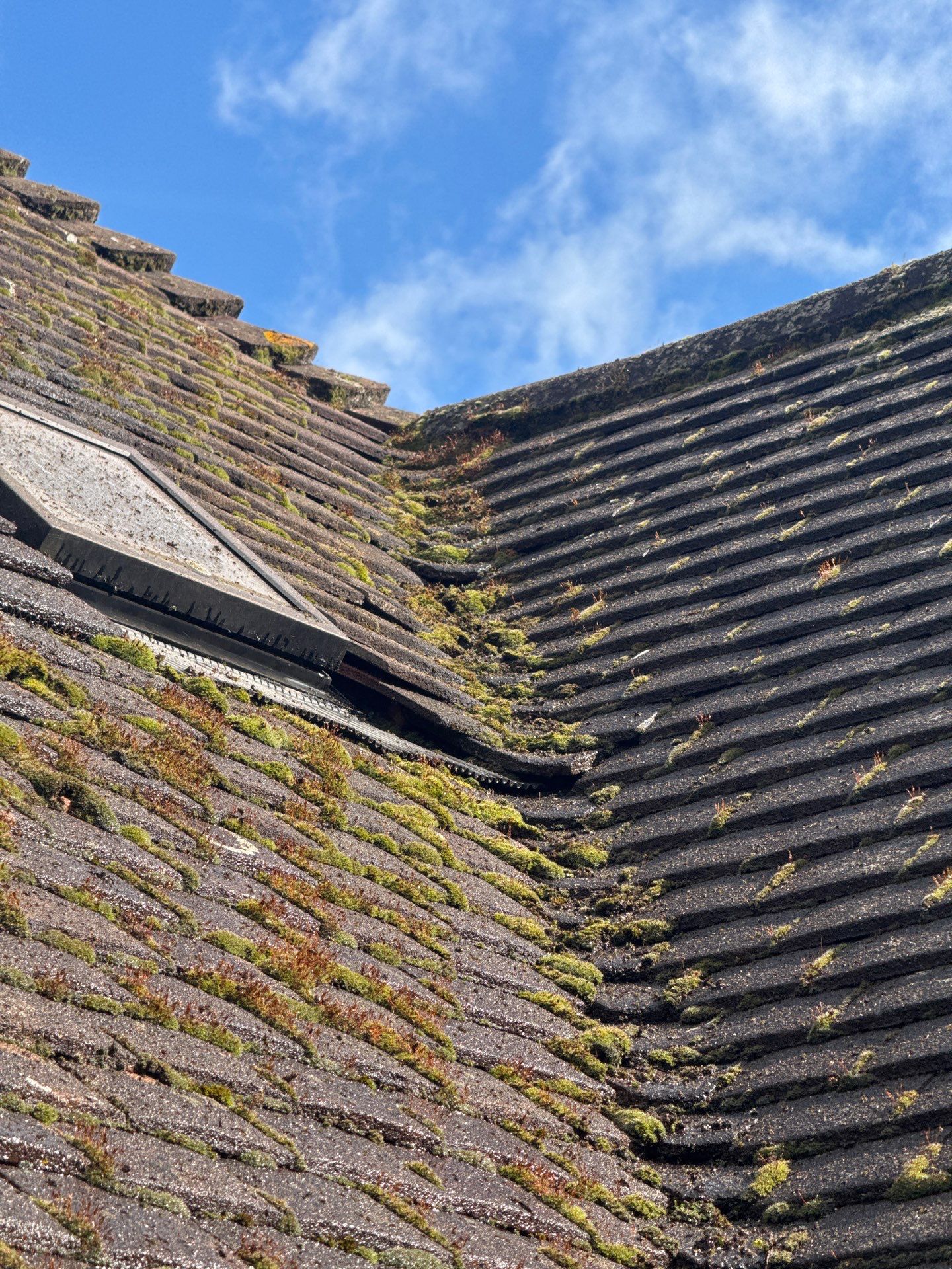 Exterior Clean - Roof - Patio - Driveway using Honda 15lpm Low Pressure Washing Machine by Ges Exterior Cleaning ltd
