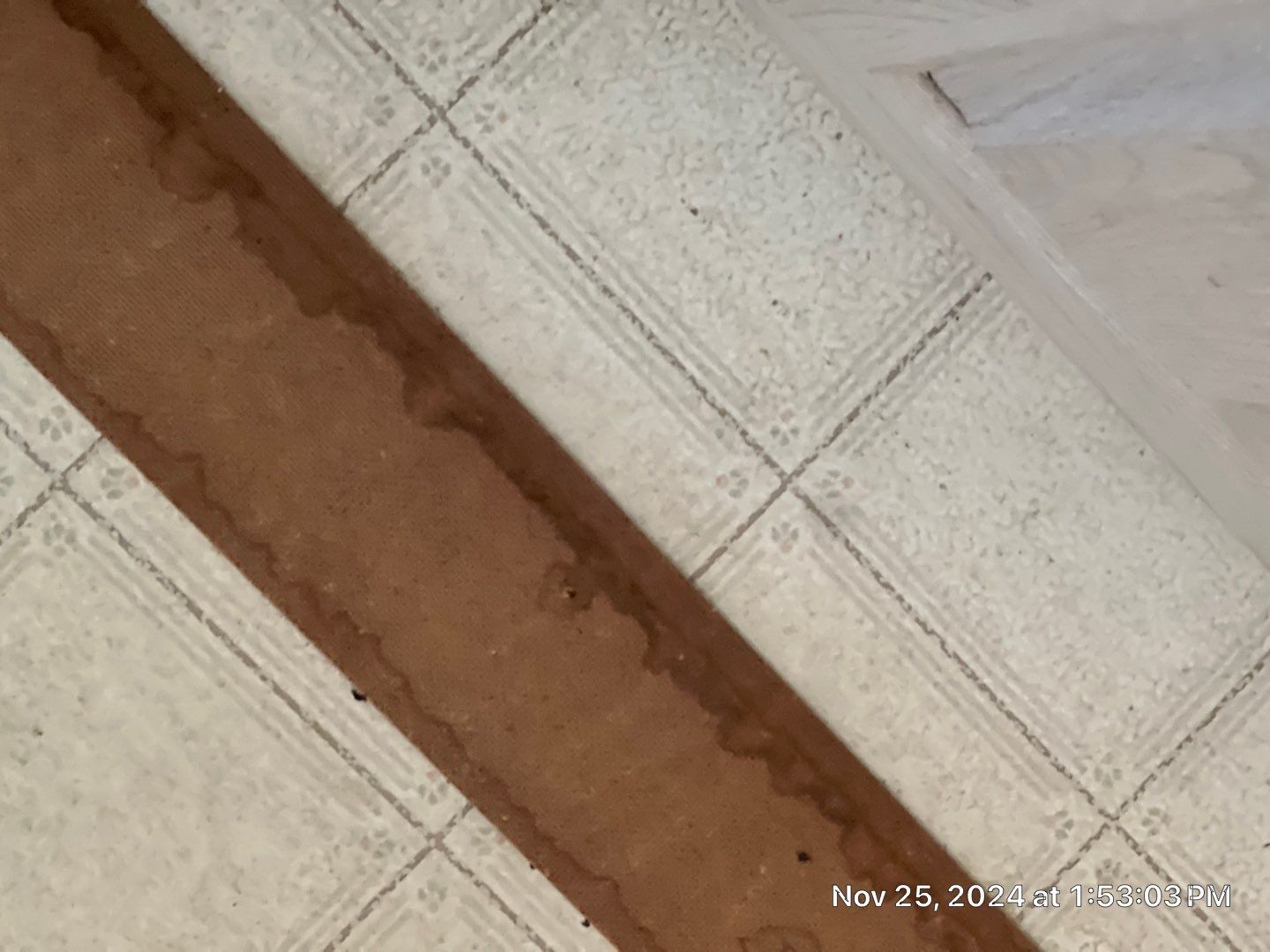 Mold Remediation Palmetto by Ampm Restoration Services 