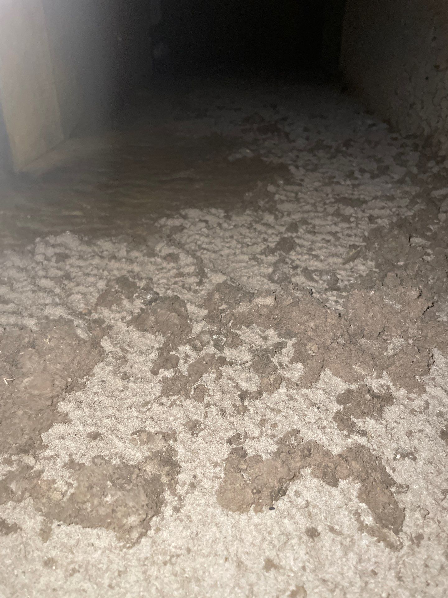 Air Duct Cleaning in Orlando by Hygienic Air, Inc