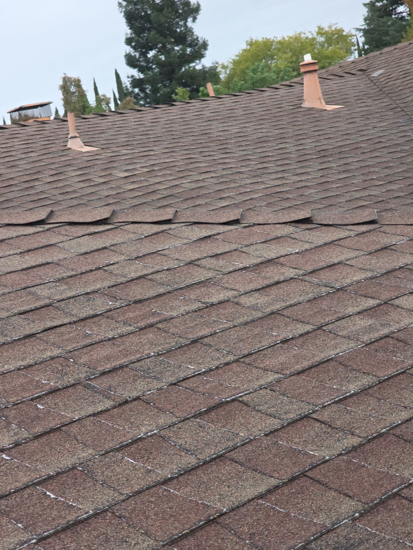 Roof Rejuvenation using Roof Maxx Treatment by Roof Maxx of Folsom