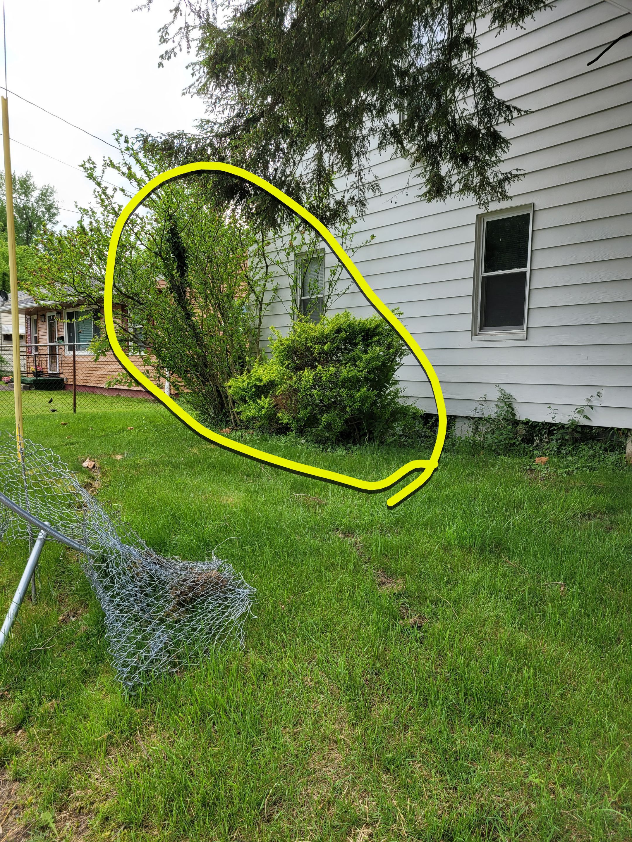 Tree Removal using Tree Removal by Mike Jones & Sons Tree Service LLC 