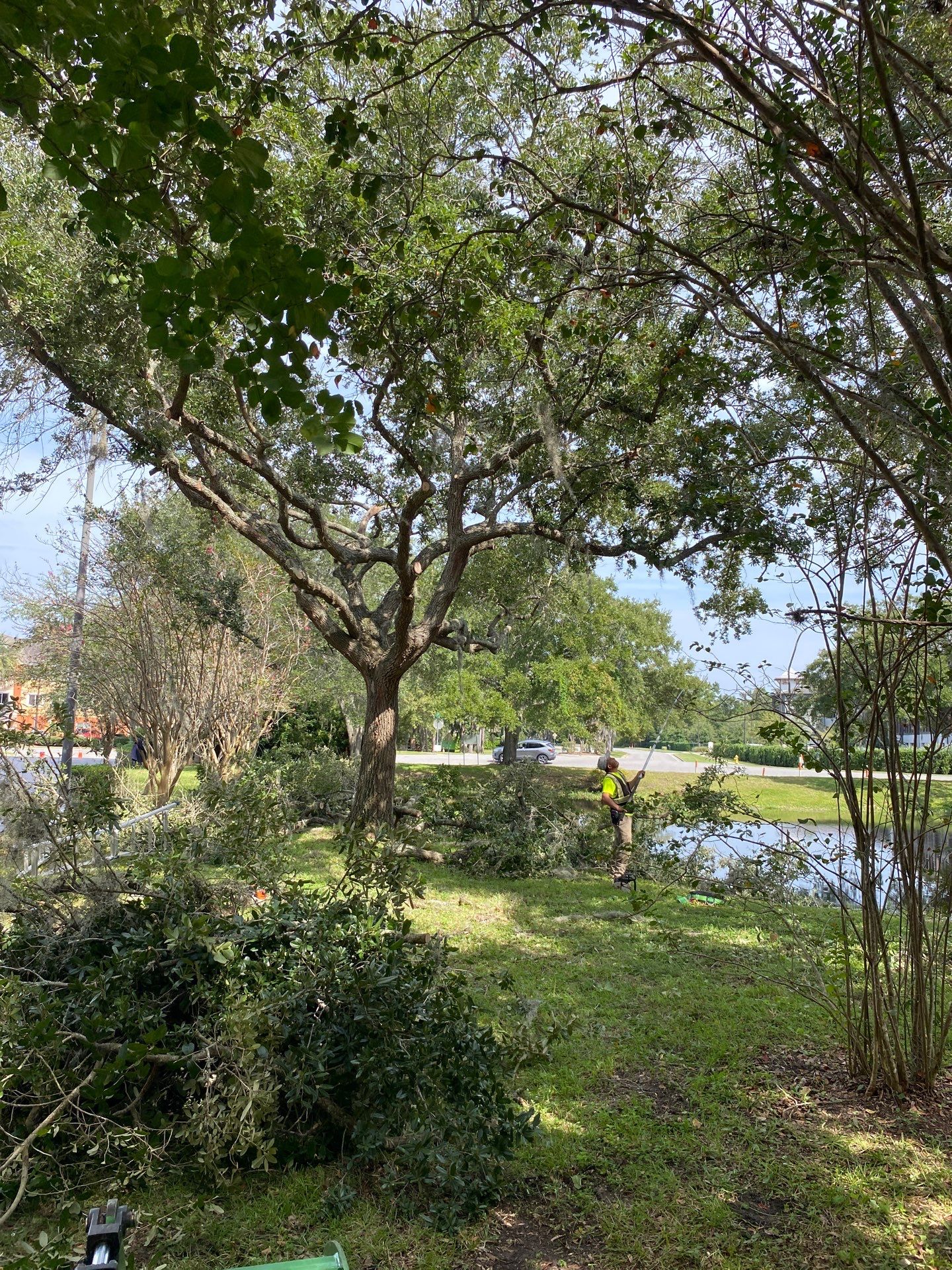 Tree & Shrub Removal | Marriott Hotel by ProGreen Services