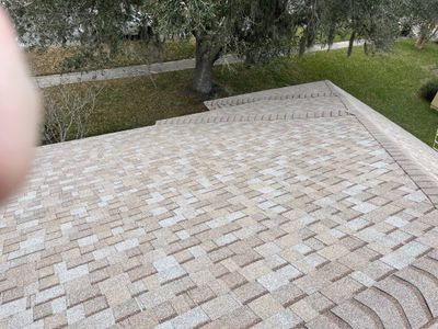 Shingle -> Shingle