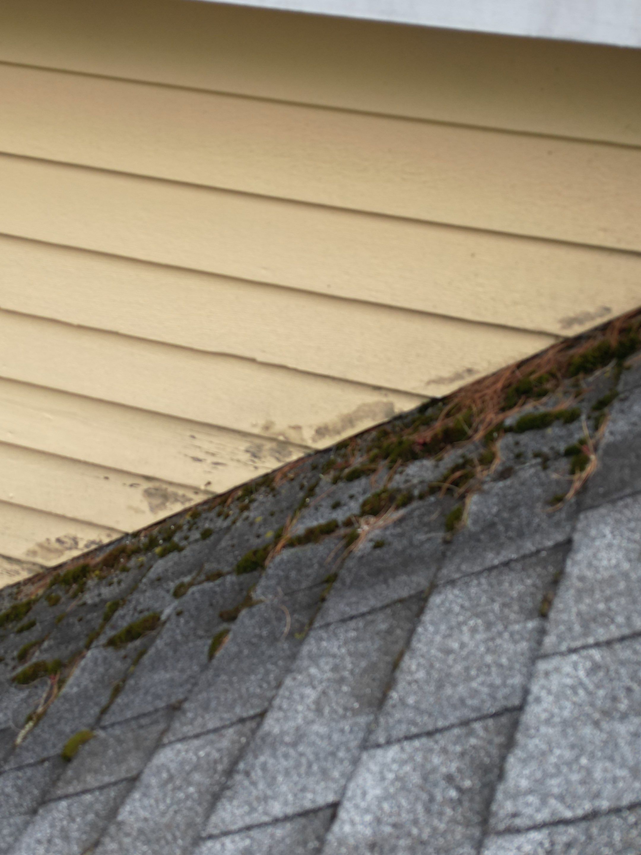 Siding | Dunstable by Mighty Dog Roofing of Greater Middlesex County