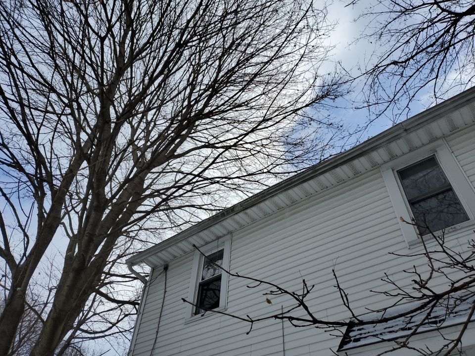 Tree Trimming using Tree Pruing by Mike Jones & Sons Tree Service LLC 