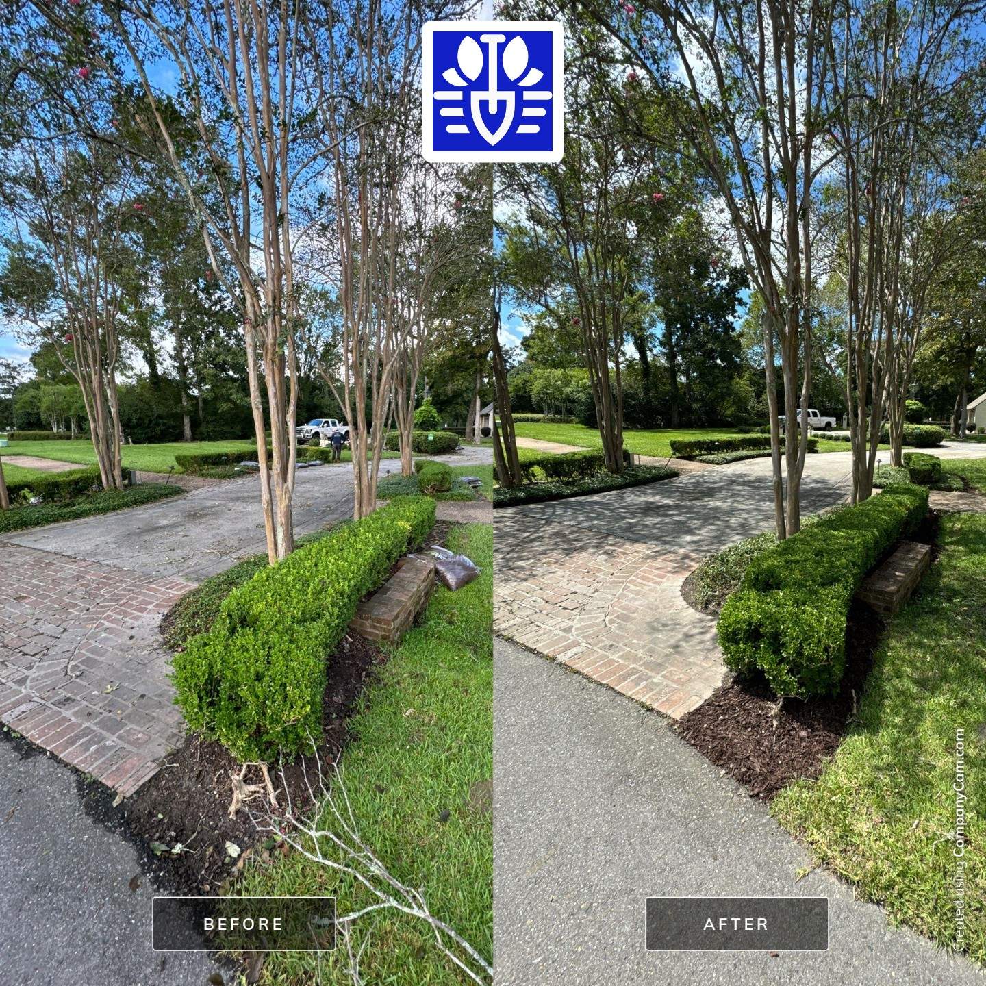 RESIDENTIAL LAWN MAINTENANCE by CutScape, LLC.