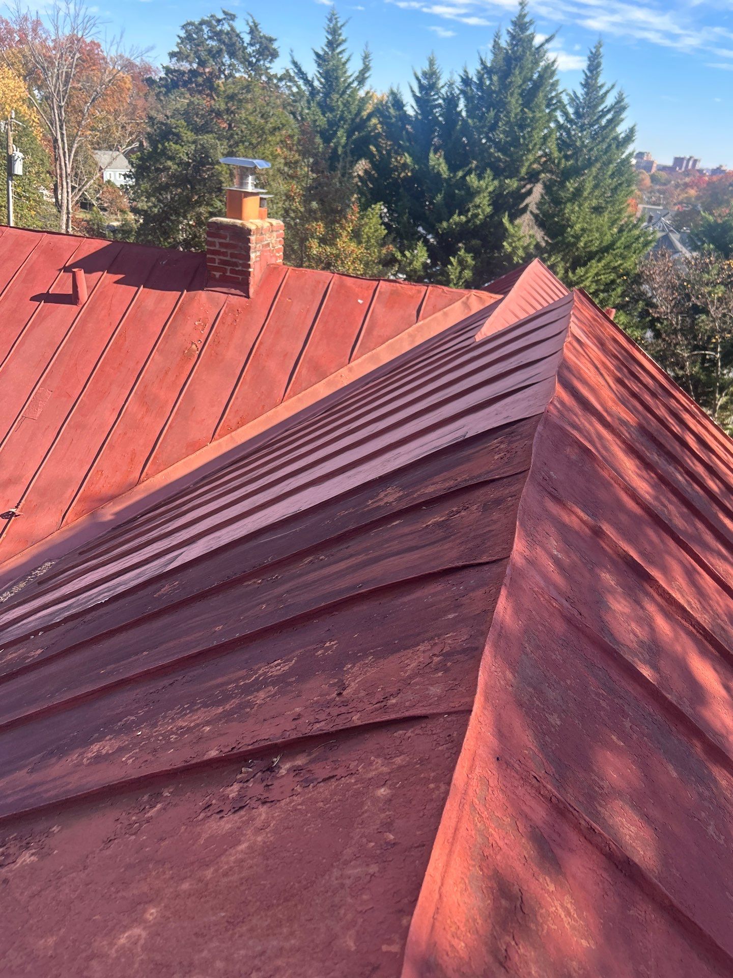 Alexandra: Residential Metal Roofing  by RM Banning, Inc.