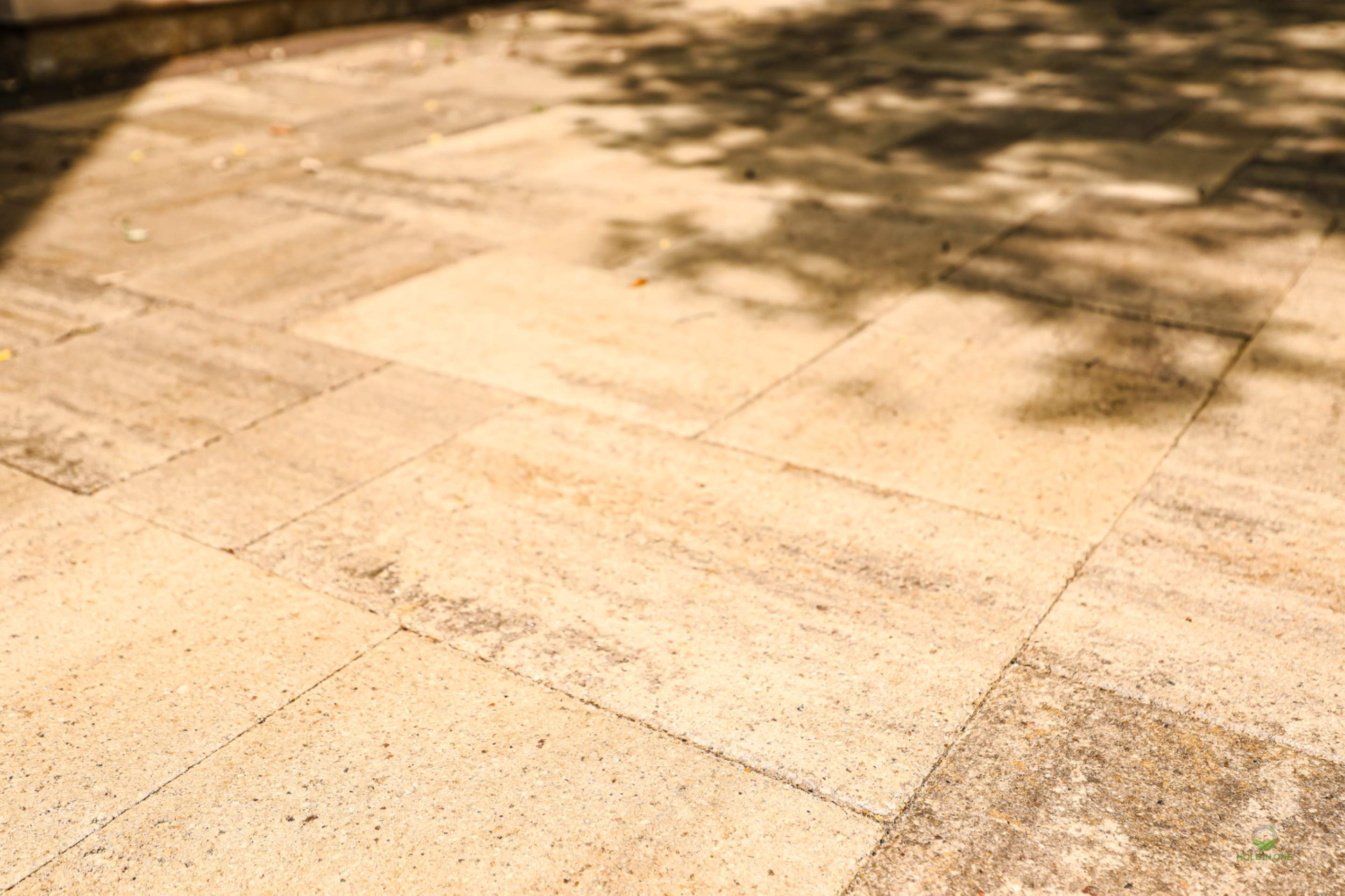 Landscape Design Henderson Pass, San Antonio Tx. by Hole In One Lawns, LLC