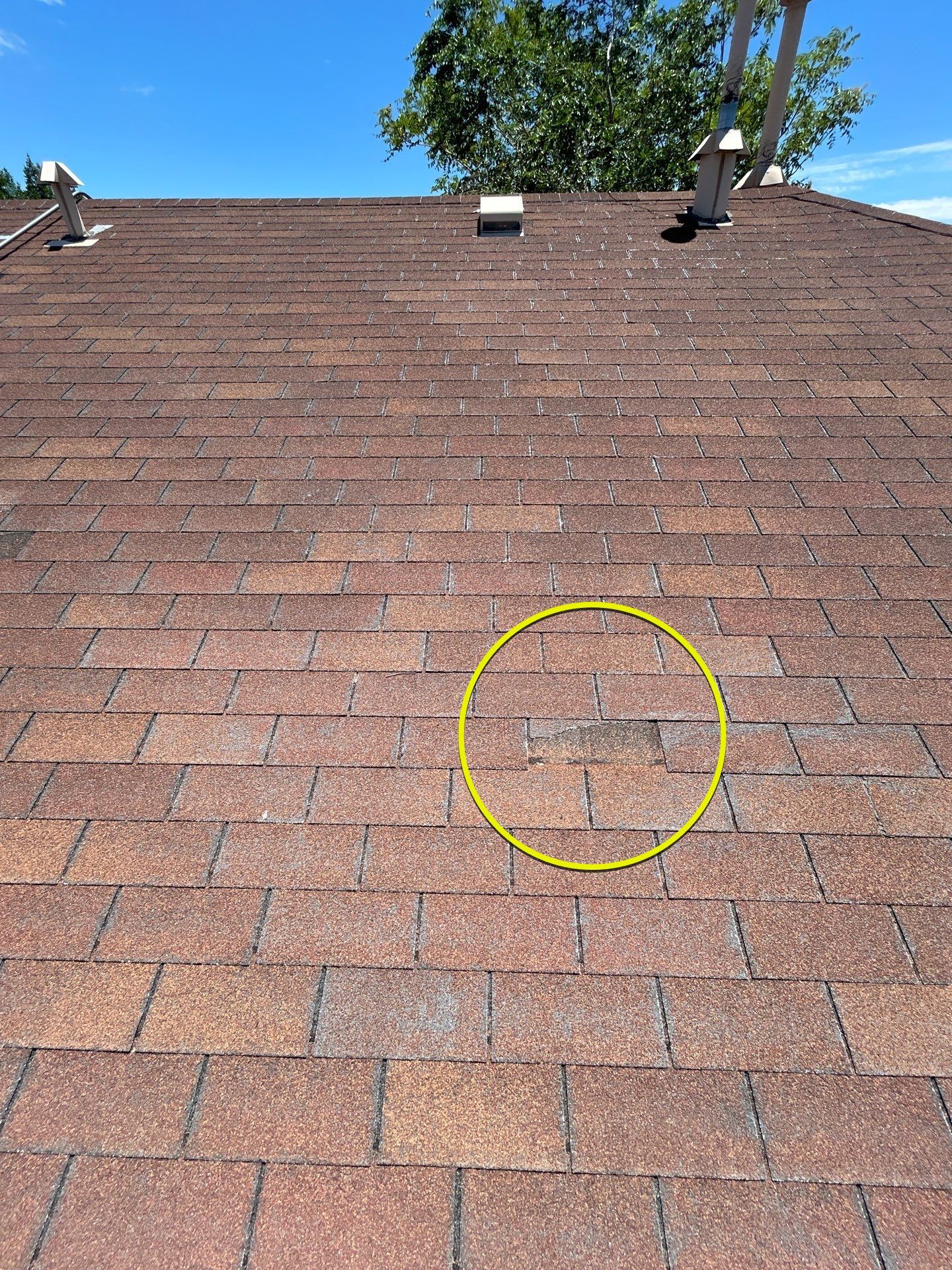 Autumn Brown Shingles by Reimagine Roofing