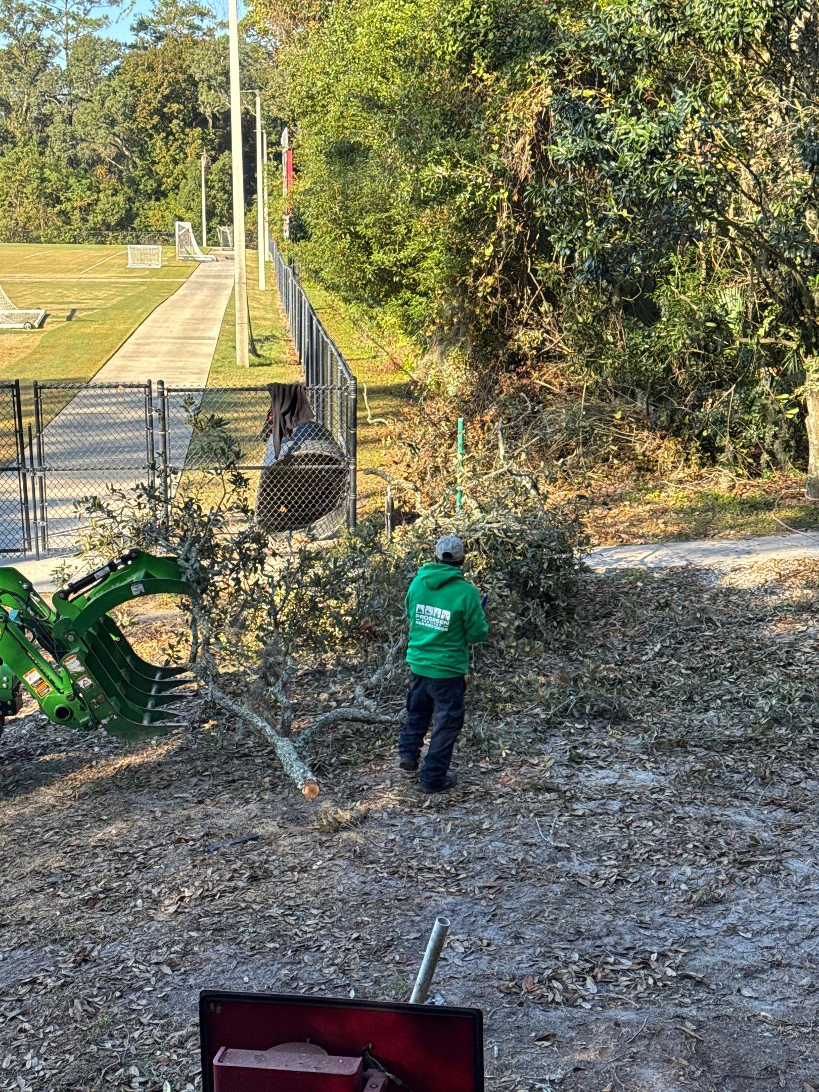 Episcopal | Large Tree Removal by ProGreen Services