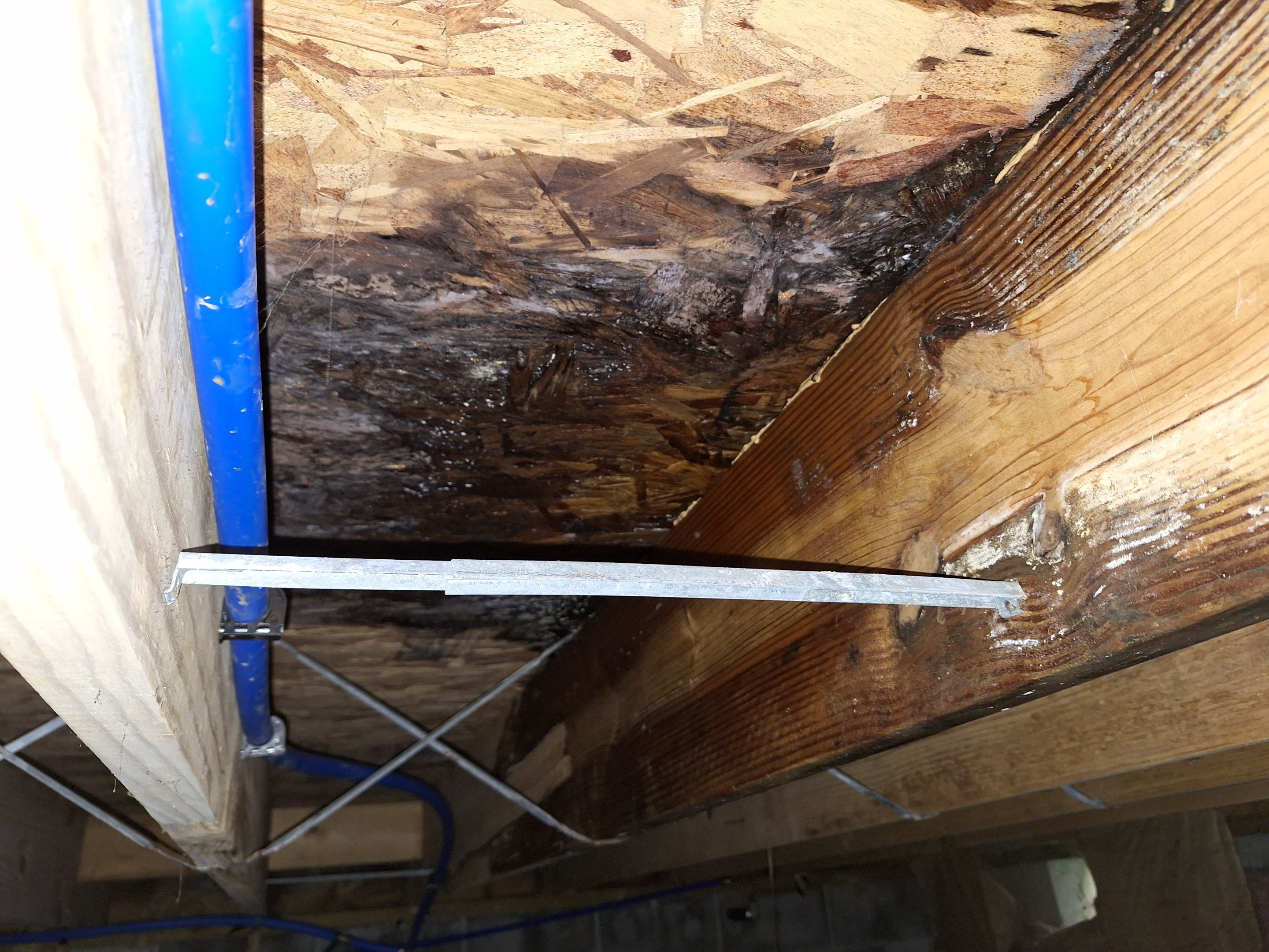 Crawlspace Water Mitigation in Louisville, KY by ANR Restoration