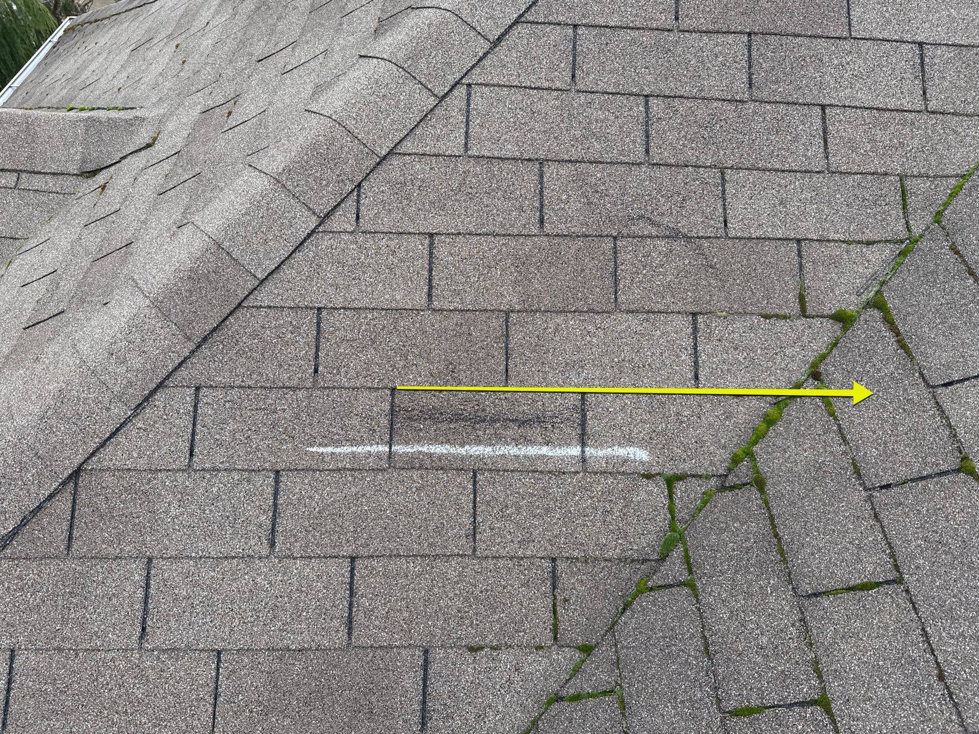 GAF Timberline NS, Pewter Gray  by Proline Roofing & Restoration LLC